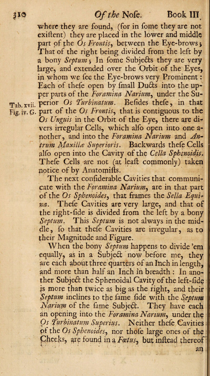 where they are found, (for in fonne they are not exiflent) they are placed in the lower and middle part of phe Os Front is, between the Eye-brows 5 That of the right being divided from the left by a bony Septum 3 In fome Subjefts they are very large, and extended over the Orbit of the Eyes, in whom we fee the Eye-brows very Prominent: Each of thefe open by fmall Du&amp;s into the up¬ per parts of the Foramina Nariumy under the Su- Tab xvii. Peri°r Turbinatum. Befides thefe, in that Fig. iy. G. part of the Os Frontisy that is contiguous to the Os Unguis in the Orbit of the Eye, there are di¬ vers irregular Cells, which alfo open into one a- nother, and into the Foramina Narium and An¬ trum Maxilla Superioris. Backwards thefe Cells alfo open into the Cavity of the Celia Sphenoidis. Thefe Cells are not (at leaft commonly) taken notice of by Anatomifts. The next confiderable Cavities that communi¬ cate with the Foramina Nariumy are in that part of the Os Sphenoides, that frames the Sella Equu 71a. Thefe Cavities are very large, and that of the right-hide is divided from the left by a bony Septum. This Septum is not always in the mid¬ dle, fo that thefe Cavities are irregular, as to their Magnitude and Figure. When the bony Septum happens to divide ’em equally, as in a Subjedt now before me, they are each about three quarters of an Inch in length, and more than half an Inch in breadth : In ano¬ ther Subjedt the Sphenoidal Cavity of the left-fide fs more than twice as big as the right, and their Septum inclines to the fame fide with the Septum JFlarium of the fame Subject. They have each an opening into the Foramina Narium, under the Os furbinatum Superius. Neither thefe Cavities of the Os Sphenoides, nor thofe large ones of the pheeks, are found in a Foetusy but inftead thereof