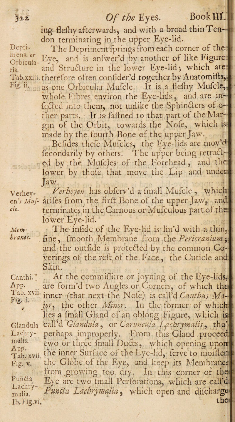 ing fleihy afterwards, and with a broad thin Ten-’ don terminating in the upper Eye-lid. Depri- The Depriment fprings from each corner of the Orbic'ula- •^'Y0? an *s an^wer’^ by another of like Figure: ns. and Structure in the lower Eye-lid &gt; which are:: Tab.xxiii. therefore often coniider’d together by Anatomifts, if as one Orbicular Mufcle. It is a flefhy Mufcle,, whofe Fibres environ the Eye-lids, and are in¬ fected into them, not unlike the Sphincters oi o- ther parts. It is- faftned to that part of the Mar¬ gin of the Orbit, towards the Nofe, which is made by the fourth Bone of the upper Jaw. Bebdes thefe Mufcles, the Eye-lids are mov’d! fecondarily by others. The upper being retrac¬ ed by the Mufcles of the Forehead, and the lower by thofe that move the Lip and under: Mem¬ branes. Jaw. ^ Verhey- Verheyen has obferv’d a fmall Mufcle , which en’s Muf- arifes from the Frit Bone of the upper Jaw, and cle- terminates in the Carnous or Mufculous part of the lower Eye-lid. ‘ The infide of the Eye-lid is lin’d with a thin, fine, fmooth Membrane from the Pericranium * and the outfide is protected by the common Co- yerings of the reft of the Face, the Cuticle and Skin. At the commiflure or joyping of the Eye-lids, are form’d two Angles or Corners, of which the inner (that next the Nofe) is call’d Cant bus Ma¬ jor , the other Minor. In the former of which lies a fmall Gland of an oblong Figure, which is Glandula call’d Gian did a, or Canmcula Lfichrymalis, tho’ Lachry- perhaps improperly. From this Gland proceed malis. two or three fmall Drafts, which opening upon Tab' xvii, r^ie inner Surface of the Eye-lid, ferve to moiften Fig. v. the Globe of the Eye, and keep its Membranes from.growing too dry. In this corner of the Eye are two imall Perforations, which are call’d Punfta Lachry madia, which open and difcharga the Canthi.a App. Tab. xvii. Fig. i. Punbta Lachry- malia. Ib.Fig.vi.