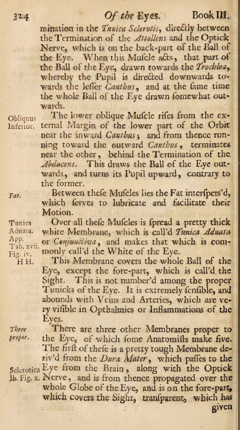 ruination in the Tunica Sclerous, direftly between the Termination of the Attalkns and the Optick Nerve, which is on the back-part of the Ball of the Eye. When this Mufcle a£fo, that part of the Ball of the Eye, drawn towards the Trochk\ar whereby the Pupil is dire&amp;ed downwards to¬ wards the leffer Canthus, and at the fame time the whole Ball of the Eye drawn fomewhat out* wards. Obiiquus The lower oblique Mufcle rifes from the ex- Inferior, ternal Margin of the lower part of the Orbit near the inward Canthus; and from thence run¬ ning toward the outward Canthus, terminates near the other, behind the Termination of the Abducens. This draws the Ball of the Eye out¬ wards, and turns its Pupil upward, contrary to the former. Tatt Between thefe Mufcles lies the Fat interfpers’d, which ferves to lubricate and facilitate their Motion. Tunica Over all thefe Mufcles is fpread a pretty thick Adnata, white Membrane, which is call’d Tunica Adnata .. or Cmfu-ndiwa, and makes that which is com- toonty call’d the White of the Eye. H H. This Membrane covers the whole Ball of the Eye, except the fore-part, which is call’d the Sight. This is not number’d among the proper Tunicks of the Eye. It is extremely fenfible, and abounds with Vems and Arteries, which are ve¬ ry vifible in Opthalmi.es or Inflammations of the Eyes. Three There are three other Membranes proper to proper. the Eye, of which fome Anatomifts make five. The fir ft of thefe is a pretty tough Membrane de¬ riv’d from the Dura Mater, which pafles to the Sclerotica Eye from the Brain, along with the Optick lb. Fig. x. Nerve, and is from thence propagated over the whole Globe of the Eye, and is on the fore-part, which covers the Sight, tranfparent, which has giveis