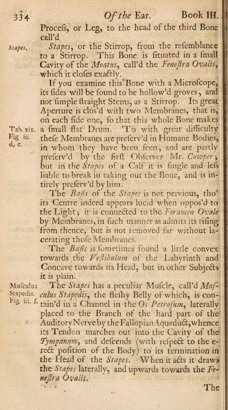 33 + Stapes. T ab. xix. Fig iii. d, e. Mu feu! us Stapedis. Fig. iii. f. Of the Ear. Book III. Procefs, or Leg, to the head of the third Bone call’d Stapes, or the Stirrop, from the refemblance to a Stirrop. This Bone is fituated in a fmali Cavity of the Meatus, call’d the Fenejlra Ovalis, which it clofes exa&lt;5Uy. If you examine this Bone with a Microfcope, its lides will be found to be hollow’d groves, and not fimple ftraight Stems, as a Stirrop. Its great Aperture is clos’d with two Membranes, that is, on each fide one, fo that this whole Bone makes a fmali flat Drum. ’Tis with great difficulty thefe Membranes are preferv’d in Humane Bodies, in whom they have been feen, and are partly preferv’d by the firfl: Obferver Mr. Cow per y but in the Stapes of a Calf it is {ingle and lefs liable to break in taking out the Bone, and is in- tircly preferv’d by him. The Bafts of the Stapes is not pervious, tho’ its Centre indeed appears lucid when oppos’d to the Light * it is connected to the Foramen Ovale by Membranes, in fuch manner as admits its riling from thence, but is not removed far without la¬ cerating thofe Membranes. The jSafes is fometimes found a little convex towards the Vejlibulum of the Labyrinth and Concave towards its Head, but in other Subjects it is plain. The Stapes has a peculiar Mufcle, call’d Muf- cuius Stapedis, the flefhy Belly of which, is con¬ tain’d in a Channel in the Os Pctrofum, laterally placed to the Branch of the hard part of the Auditory Nerve by the Fallopian Aquedudt,whence its Tendon marches out into the Cavity of the fTympanum, and defeends (with refpedt to the e- re£t pofition of the Body) to its termination in the Head of the Stapes. When it a£ts it draws the Stapes laterally, and upwards towards the Fe- nejtra Qyalis.