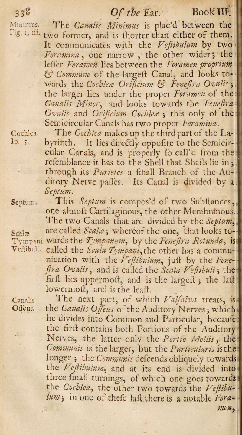 Minimus. Fig. i, iii. Cochlea. lb. 5. Septum. Sc'aloe Tympani Veftibuli. Canalis O Ileus. The Canalis Minimus is plac’d between the two former, and is fhorter than either of them. It communicates with the V?ftibulum by two Foramina, one narrow, the other wider*, the leffcr Foramen lies between the Forarhen proprium £5? Commune of the largeft Canal, and looks to¬ wards the Cochlea Orificium &amp; Feneftra Ovalis * the larger lies under the proper Foramen of the Canalis Minor, and looks towards the Feneftra Ovalis and Orificium Cochlea *, this only of the Semicircular Canals has two proper Foramina. The Cochlea makes up the third part of the La¬ byrinth. It lies dire&amp;ly oppofite to the Semicir¬ cular Canals, and is properly fo call’d from the refemblance it has to the Shell that Shails lie in * through its Parietcs a frfiall Branch of the Au¬ ditory Nerve palles. Its Canal is divided by a Septum. This Septum is compos’d of two Suhflances, one almoft Cartilaginous, the other Membranous. The two Canals that are divided by the Septum, are called Scalar whereof the one, that looks to¬ wards the Tympanum, by the Feneftra Rotunda, is: called the Scala Fympanfixhe other has a commu¬ nication with the Veftibulum, julf by the Fene¬ ftra Ovalis, and is called the Scala Vejlihuli s the Bril lies uppermoft, and is the largeft y the lait lowermoft, and is the lead. The next part, of which Valfalva treats, isJ the Canalis OJfeus of the Auditory Nerves 5 which he divides into Common and Particular, becaufc the firft contains both Portions of the Auditory Nerves, the latter only the Portio Mollis&gt; the Communis is the larger, but the Particularis is the: longer 3 the Communis defeends obliquely towards; the Veftibulum, and at its end is divided into* three fmall turnings, of which one goes towards;! the Cochlea, the other two towards the Veftibu¬ lum ^ in one of thefe lalithere is a- notable Fora* men*