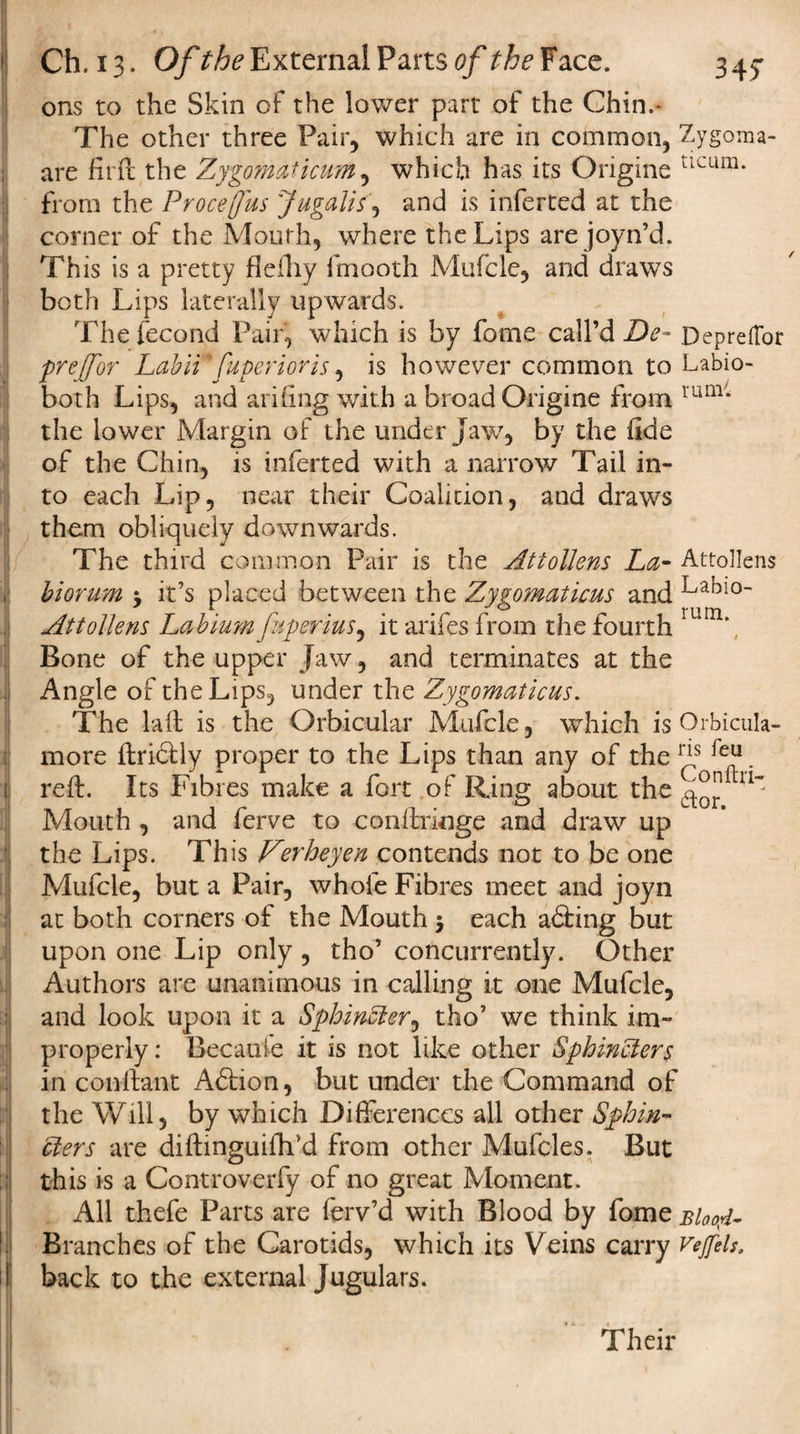ons to the Skin of the lower part of the Chin.- The other three Fair, which are in common, Zygoma- are firft the Zygomaticum, which has its Origins tlcum* from the Procejjus Jugali/, and is inferred at the corner of the Mouth, where the Lips are joyn’d. This is a pretty fleftiy fmooth Mufcle, and draws both Lips laterally upwards. The fecond Pair, which is by fome call’d De- Depreftor prejfor Labii fuperioris, is however common to Labio- both Lips, and ariiing with a broad Origine from rum* the lower Margin of the under Jaw, by the fide of the Chin, is inferted with a narrow Tail in¬ to each Lip, near their Coalition, and draws them obliquely downwards. The third common Pair is the Attollens La- Attollens biorum j it’s placed between the Zygomaticus and La^°- Attollens Labium fuperius, it arifes from the fourth rum\. Bone of the upper Jaw, and terminates at the Angle of the Lips, under the Zygomaticus. The la ft is the Orbicular Mufcle, which is Orbicula- more ftridily proper to the Lips than any of the1^ fefL reft. Its Fibres make a fort of Ring about the rl~ Mouth , and ferve to con (fringe and draw up the Lips. This Verheyen contends not to be one Mufcle, but a Pair, whole Fibres meet and joyn at both corners of the Mouth $ each adfing but upon one Lip only , tho’ concurrently. Other Authors are unanimous in calling it one Mufcle, and look upon it a Sphincter, tho’ we think im¬ properly: Because it is not like other Sphincters in conftant Adfion, but under the Command of the Will, by which Differences all other Sphin¬ cters are diftmguiftfd from other Mufcles. But this is a Controverfy of no great Moment. All thefe Parts are ferv’d with Blood by fome slatf- Branches of the Carotids, which its Veins carry Vejfels. back to the external Jugulars. Their
