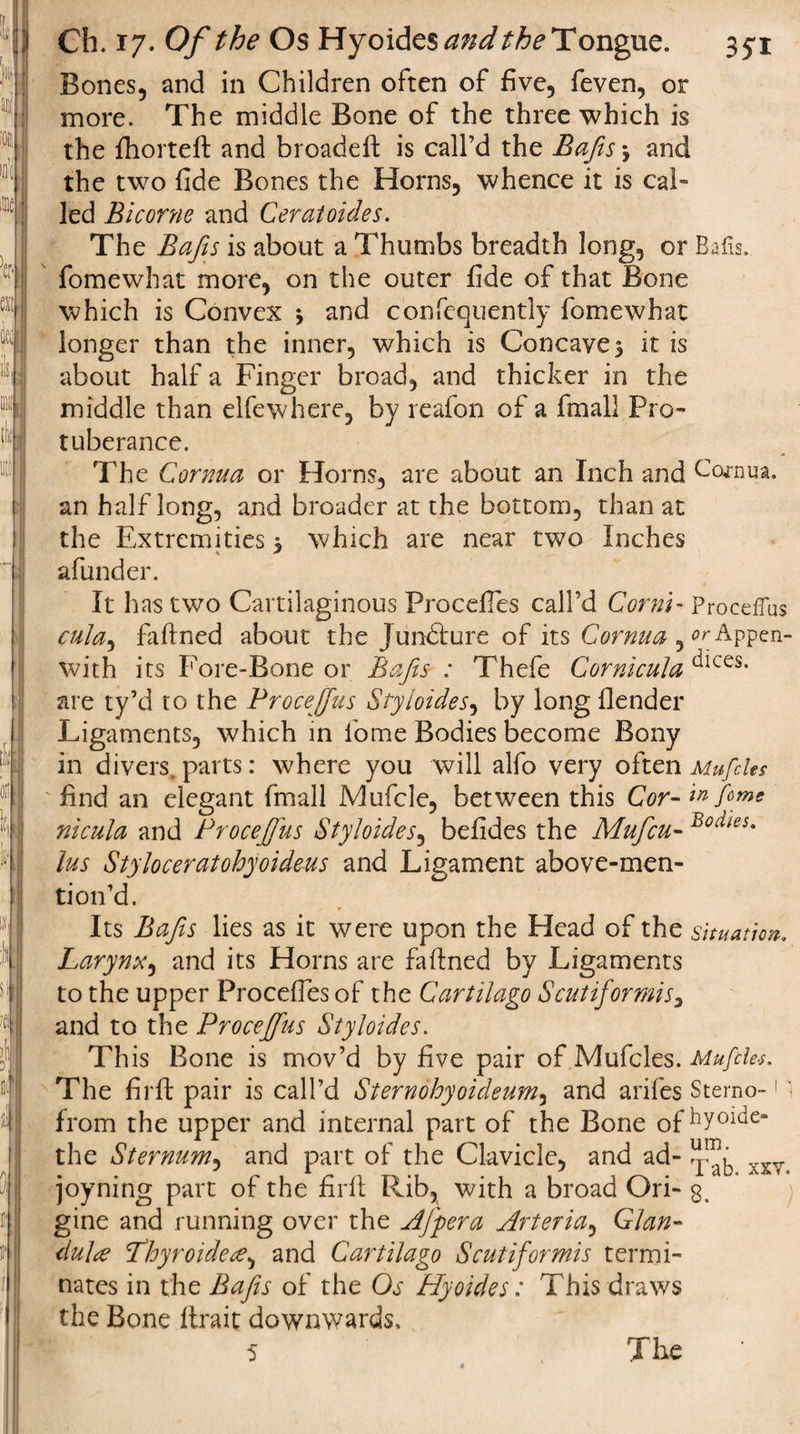 Oil m'( | line fi 111!1 It ai I Ch. 17. Of the Os Hyoi&amp;cs and the Tongue. 3^1 Bones, and in Children often of five, feven, or more. The middle Bone of the three which is the fhorteft and broadeft is call’d the Bafts *, and the two fide Bones the Horns, whence it is cal¬ led Blcorne and Ceratoides. The Bafts is about a Thumbs breadth long, or Balls, fomewhat more, on the outer fide of that Bone which is Convex * and confequently fomewhat longer than the inner, which is Concaves it is about half a Finger broad, and thicker in the middle than elfewhere, by reafon of a fmall Pro¬ tuberance. The Cornua or Horns, are about an Inch and Cornua, an half long, and broader at the bottom, than at the Extremities 5 which are near two Inches afunder. It h as two Cartilaginous Procefies call’d Conn- Proceffus cuJa^ fafined about the Jun&amp;ure of its Cornua Appen- With its Fore-Bone or Bafts : T'hefe Cornicula ^ces- are ty’d to the Proceffus Styioides, by long {lender Ligaments, which in l'ome Bodies become Bony in divers, parts: where you will alfo very often Mufeles find an elegant fmall Mufcle, between this Cor-h feme nicula and Proceffus Sty hides ^ befides the Mufcu- Bo^es* lus Styloceratohyoideus and Ligament above-men¬ tion’d. Its Bafts lies as it were upon the Head of the situation. Larynx, and its Horns are fa fined by Ligaments to the upper Procefies of the Cartilago Scut if or mis 3 and to the Proceffus Styloides. This Bone is mov’d by five pair of Mufeles. Mufeles. The firft pair is call’d Sternohyoideum, and arifes Sterno-11 from the upper and internal part of the Bone of hy°^e“ the Sternum, and part of the Clavicle, and ad-XXT&lt; joyning part of the firfi Rub, with a broad Ori- 3. gine and running over the Afpera Arteria, Glan¬ dule fhyroidete, and Cartilago Scut if or mis termi¬ nates in the Bafts of the Os Hyoides: This draws the Bone firait downwards,