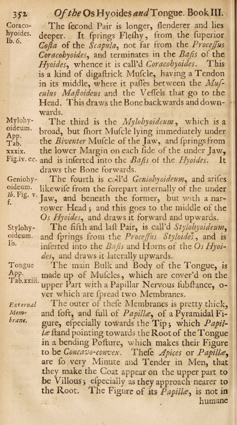 Coraco- The fecond Pair is longer, flenderer and lies hyoides. peeper. It fprings Fleihy, from the fupenor ' ' Cofta of the Scapula, not far from the Proceftfus Coracohyoid.es, and terminates in the Bafts o!' the Hyoides, whence it is call’d Coracohyoides. This is a kind of digaftrick Mufcle, having a Tendon in its middle, where it paffes between the Muft- culus Maftoideus and the Veffels that go to the Head. This draws the Bone backwards and down- - wards. Mylohy- The third is the Mylohyoideum, which is a oideum. broad, [lut f]lort Mufcle lying immediately under Tab! the Biventer Mufcle of the Jaw, and fprings from xxxix. the lower Margin on each fide of the under jaw, Fig.iv.ee. and is inferred into the Bafts ol the Hyoides. It draws the Bone forwards. Genioby- The fourth is oil’d Geniohyoideum, and arifes oideum. lifcewife from the forepart internally of the under j.Fig. v.jaw^ anj beneath the former, but with a nar¬ rower Head 3 and this goes to the middle of the Os Hyoides, and draws it forward and upwards. Stylohy- The fifth and lafl Pair, is call'd Stylohyoideum, oideum. and fprings from the Proceftus Styloide*, and is *b‘ inferred into the Bafts and Horns of the Qs Hyoi¬ des, and draws it laterally upwards. Tongue The main Bulk and Body of the Tongue, is ^PP- ... made up of Mufcles, which are cover’d on the a *xxlil‘ upper Part with a Papillar Nervous fubfiance, o- ver which are fpread two Membranes. External The outer of thefe Membranes is pretty thick, Mem- and felt, and full of Papillae, of a Pyramidal Fi- hane. gUre, especially towards the Tip 3 which Papil¬ lae fiand pointing towards the Root of the Tongue in a bending Pofiure, which makes their Figure to be Concavo-convex. Thefe Apices or Papillre, are fo very Minute and Tender in Men, that they make the Coat appear on the upper part to be Villous 3 eipecially as they approach nearer to the Root. The Figure of its Papilla, is not in humane