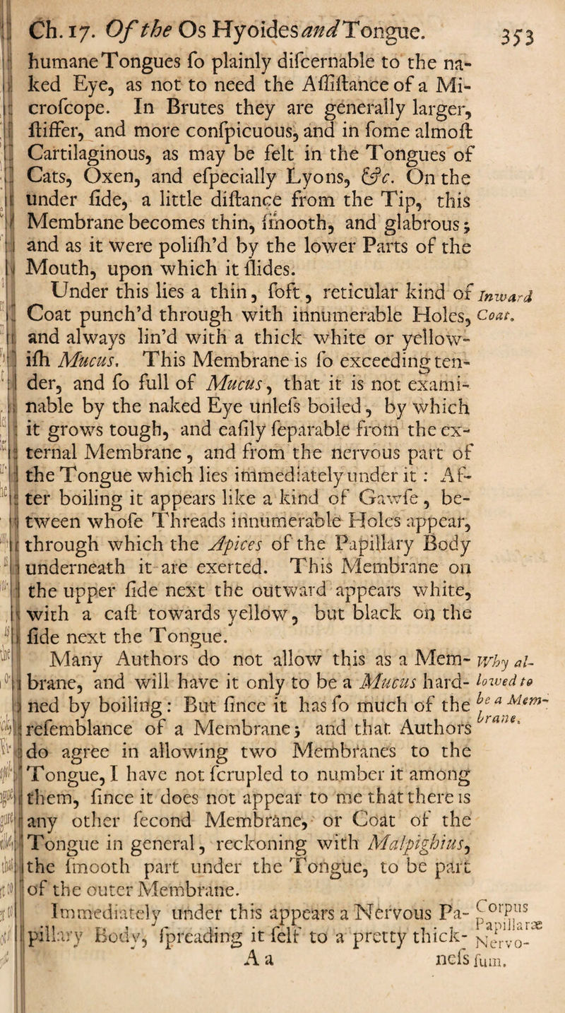 35*3 : Ch. 17. Of the Os Hyoides^;/^/Tongue. humane Tongues fo plainly difcernable to the na- ked Eye, as not to need the Afiiftanceof a Mi- ; crofcope. In Brutes they are generally larger, ftiffer, and more confpicuous, and in fome almoft Cartilaginous, as may be felt in the Tongues of Cats, Oxen, and efpecially Lyons, &amp;c. On the under fide, a little diftance from the Tip, this Membrane becomes thin, fihooth, and glabrous; and as it were polifh’d by the lower Parts of the Mouth, upon which it Aides. Under this lies a thin, foft, reticular kind of inward Coat punch’d through with innumerable Holes, coat. and always lin’d with a thick white or yellow- ifh Mucus, This Membrane is fo exceeding ten- I der, and fo full of Mucus, that it is not exami¬ nable by the naked Eye unlefs boiled, by which it grows tough, and eafily feparable from the ex¬ ternal Membrane, and from the nervous part of the Tongue which lies immediately under it : Af- :! ter boiling it appears like a kind of Gawfe, be- i tween whofe Threads innumerable Holes appear, 1: through which the Apices of the Papillary Body underneath it are exerted. This Membrane on the upper fide next the outward appears white, with a call towards yellow, but black on the ! fide next the Tongue. Many Authors do not allow this as a Mem- why aU i °1| brane, and will have it only to be a Mucus hard- lowed to |j ned by boiling: But fincc it hasfo much of the 4 ■ refemblance of a Membrane; and that Authors iatH' N.do agree in allowing two Membranes to the Tongue, I have not fcrupled to number it among 3M them, fince it does not appear to me that there is any other fecond Membrane, or Coat of the Tongue in general, reckoning with Malpighius, the fmooth part under the Tongue, to be part of the outer Membrane. Immediately under this appears a Nervous Pa- ?orPus._ ! pillary Body, fpreading it felt to a pretty thick- ^ A a nefs fUm.