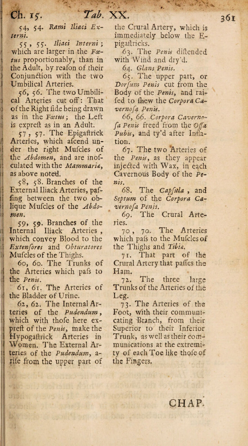 J 'Ch. x 5. 54, 54. Rami lliaci Ex- 'i terni. 55 , 55. lliaci Interni ; I which are larger in the Foe- \ tus proportionably, than in H the Adult, by reafon of their !i Conjunction with the two I Umbilical Arteries. 56, 56. The twoUmbili- :i cal Arteries cut off: That j of the Right fide being drawn 8 as in the Foetus; the Left : is expreft as in an Adult. 57 , 57. The Epigaftrick .l1 Arteries, which afcend un¬ der the right Mufcles of the Abdomen, and are inof- culated with the Mammaru, as above noted. 58, 58. Branches of the External Iliack Arteries, paf- fing between the two ob¬ lique Mufcles of the Abdo¬ men. 59, 59. Branches of the H Internal Iliack Arteries, ’i which convey Blood to the t Extenfores and Obturatores 'i Mufcles of the Thighs. 60, 60. The Trunks of . ! the Arteries which pafs to | the Penis. 61, 61. The Arteries of if the Bladder of Urine. 62, 62. The Internal Ar¬ ia teries of the Pudendum, | which with thofe here ex- j preft of the Penis, make the I Hypogaftrick Arteries in | Women. The External Ar¬ teries of the Pudendum, a- rife from the upper part of the Crural Artery, which is immediately below the E~ pigaftricks. 63. The Penis diftended with Wind and dry’d. 64. Gians Penis. 65. The upper part, or Dorfum Penis cut from the Body of the Penis, and rai¬ led to (hew the Corpora Ca- vernofa Penis. 66. 66. Corpora Caverns fa Penis freed from the Off a Pubis, and ty’d after Infla¬ tion. 67. The two 'Arteries of the Penis, as they appear injeded with Wax, in each Cavernous Body of the Pe¬ nis. 68. The Capfula , and Septum of the Corpora Ca- vernofa Penis. 69. The Crural Arte¬ ries. 70 , 70, The Arteries which pafs to the Mufcles of the Thighs and Tibia. 71. That part of the Crural Artery that paffes the Ham. 72. The three large Trunks of the Arteries of the Leg. 73. The Arteries of the Foot* with their communi¬ cating Branch, from their Superior to their Inferior Trunk, as wrell as their com¬ munications at the extremi¬ ty of each Toe like thofe of the Fingers. chap.