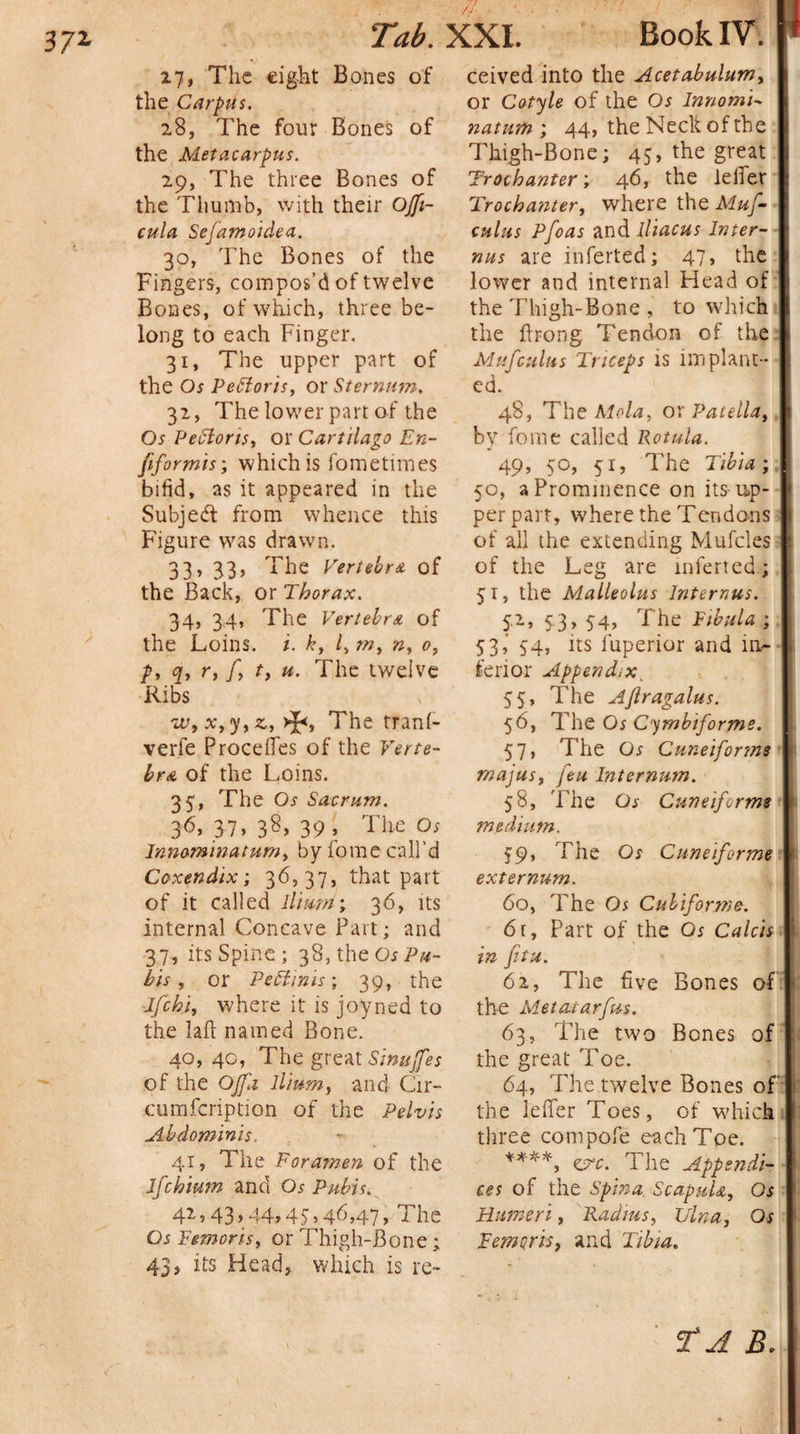 27, The eight Bones of the Carpus. 28, The four Bones of the Metacarpus. 29, The three Bones of the Thumb, with their Ojft- cula Sefamoidea. 30, The Bones of the Fingers, compos’d of twelve Bones, of which, three be¬ long to each Finger. 31, The upper part of the Os Pefforis, or Sternum. 32, The lower part of the Os Pefforts, or Cartilago En- fiformis; which is fometimes bifid, as it appeared in the Subjedf from whence this Figure was drawn. 33, 33, The Vertebra, of the Back, or Thorax. 34, 34, The Vertebra of the Loins, i. k, /, m, n, 0, p, q, r, f, t, u. The twelve Ribs w, x, y, z, &gt;J&lt;, The rranl- verfe Procefies of the Verte¬ bra of the Loins. 35, The Os Sacrum. 36, 37* 38* 39 * The Os Innominatum, bp fome call'd Coxendix; 36,37, that part of it called Ilium; 36, its internal Concave Part; and 37, its Spine; 38, the Os Pu¬ bis, or Peffims; 39, the Ifchi, where it is joyned to the laft named Bone. 40, 40, The great Sinuffes of the OJJh Ilium, and Cir- cumfcription of the Pelvis Abdominis. 41, The Foramen of the Ifchium and Os Pubis. 42,43,44,45,46,47, The Os Femoris, or Thigh-Bone; 43, its Head, which is re¬ ceived into the Acetabulum, or Cotyle of the Os Innomi- natum ; 44, the Neck of the Thigh-Bone; 43, the great Trochanter; 46, the lelfer Trochanter, where the Muf~ cuius Pfoas and lliacus Inter- mis are inferted; 47, the lower and internal Head of the Thigh-Bone , to which the ftrong Tendon of the Mufcuius Triceps is implant¬ ed. 48, The Mela, or Patella, by fome called Rotula. 49, 50, 51, The Tibia; 50, a Prominence on its up¬ per part, where the Tendons of all the extending Mufcles of the Leg are inferted; 51, the Malleolus Internets. 5,2, 5.3, 54, The Fibula ; 53,’ 54, its iuperior and in¬ ferior Appendix, 55, The Ajlragalus. 56, The Os Cymbiforme. 57, The Os Cuneiforms rnajus, feu Internum. 58, The Os Cuneiforms medium. 59* The Os Cuneiforms externum. 60, The Os Cubiforme. 6r, Part of the Os Calcis in fitu. 62, The five Bones of the Metatarfus. 63, The two Bones of the great Toe. 64, The twelve Bones of the lefifer Toes, of which three compofe each Toe. ****, ejrc. The Appendi¬ ces of the Spina Scapula, Os Humeri, Radius, Ulna, Os Femoris, and Tibia. tJ B.