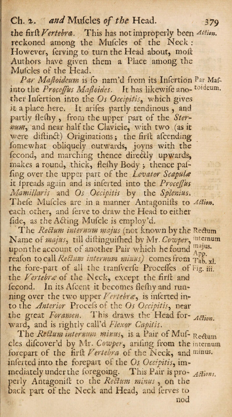 the fir &amp; Vertebra. This has not improperly been ion. reckoned among the Mufcles of the Neck : However, ferving to turn the Head about, molt Authors have given them a Place among the Mufcles of the Head. Par Maftoideum is fo nam’d from its Infertion Par Maf- into the Procejjus Mafioides. It has likewife a no- t01-eum. ther Infertion into the Os Occipitis, which gives it a place here. It arifes partly tendinous , and partly fiefhy , from the upper part of the Ster- mm^ and near half the Clavicle, with two (as it were diftindf) Originations the fir if afcending fomewhat obliquely outwards, joyns with the fecond, and marching thence direcfly upwards, makes a round, thick, fiefhy Body &gt; thence pai- fing over the upper part of the Levator Scapula it ipreads again and is inferted into the Procejjus Mamillaris and Os Occipitis by the Spleniuss Thefe Mufcles are in a manner Antagonifts to -Attion. each other, and ferve to draw the Head to either fide, as the Acting Mufcle is employ’d. The Rectum internum majus (not known by the Rectum Name of majus, till diftinguifhed by Mr. Cowper, *mernum upon the account of another Pair which he found Jjns' reafon to call Re Bum internum minus) comes from Tab.'xl the fore-part of all the tranfverfe Precedes of Fig. itf, the Vertebra of the Neck, except the firft and fecond. In its Afcent it becomes fiefhy and run- ning over the two upper Vertebra, is inferted in¬ to the Anterior Procefs of the Os Occipitis, near the great Foramen. This draws the Head for- Attim ward, and is rightly call’d Flexor Capitis. The ReBum internum minus, is a Pair of Muf- Return des difeover’d by Mr. Cowper, arifing from the internum forepart of the firft Vertebra of the Neck, and m*nus- inferted into the forepart of the Os Occipitis, im¬ mediately under the foregoing. This Pair is pro- Actions. perly Antagonift to the ReBum minus, on the back part of the Neck and Head, and ferves ro nod