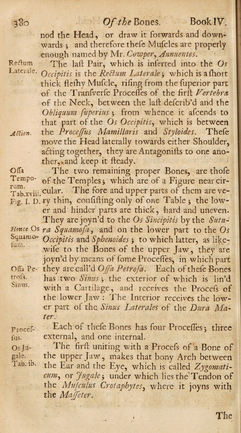 3$o Return Laterals. ARion. Offa Tempo- ram. Tab.xviii Fig. 1. D Hence Os Squamo- ium. OfTa Pe- trof’a. Sinus. Of the Bones. Book IV. nod the Head, or draw it forwards and down¬ wards *, and therefore thefe Mufclcs are properly enough named by Mr. Cowper, Annuentes. The laft Pair, which is inferred into the Os Occipitis is the Rettum Lateral# &gt; which is aftiort thick fleihy Mufcle, riftng from the fuperior part of the Tranfverfe Procefles of the firft Vertebra of the Neck, between the laft defcrib’d and the Qbliquum fuperius % from whence it afcends to that part of the Os Occipitis, which is between the Procejfus Mamillaris and Styloides. Thefe move the Head laterally towards either Shoulder, a£fing together, they are Antagonists to one ano¬ ther,, and keep it fteady. The two remaining proper Bones, are thofe of the Temples j which are of a Figure near cir¬ cular. The fore and upper pans of them are ve¬ ry thin, confifting only of one Table j the low¬ er and hinder parts are thick, hard and uneven. They are joyn’d to the Os Sincipitis by the Sutu- ra Squamofa, and on the lower part to the Os Occipitis and Sphenoides &gt; to which latter, as like- wife to the Bones of the upper Jaw, they are joyn’d by means of fome Procefles, in which part they are call’d OjJ'a Petrofa. Each of thefe Bones has two Sinus the exterior of which is lin’d with a Cartilage, and receives the Procefs of the lower Jaw : The Interior receives the low¬ er part of the Sinus Later ales of the Dura Ma¬ ter. procef- Each of thefe Bones has four Procefles °3 three fus. external, and one internal. Osjfu- The fir ft uniting with a Procefs of a Bone of gale. the upper Jaw, makes that bony Arch between lab. ib. tFe Bar and the Eye, which is called Zygomati- cumy or Jugate $ under which lies the'Tendon of the Mufcuius Grotaphytes, where it joyns with the Majfeter. *