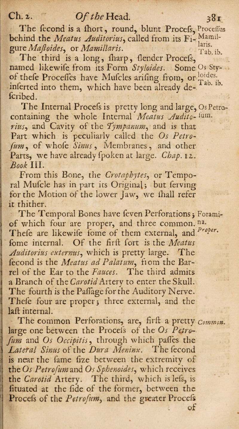 The fccond is a fhort, rounds blunt Procefs, behind the Meatus Auditorius, called from its Fi¬ gure Maftoides.) or Mamillaris. The third is a long, fharp, {lender Procefs, named likewife from its Form Styloides. Some of thefe ProcefTes have Mufcles arifing from, or inlerted into them, which have been already de¬ ferred. The Internal Procefs is pretty long and large, containing the whole Internal Meatus Audit o- rius, and Cavity of the Fympanum^ and is that Part which is peculiarly called the Os Petro- fum, of whofe Sinus, Membranes, and other Parts, we have already fpoken at large. Chap, iz. Book III. From this Bone, the Crotapbytes, or Tempo¬ ral Mufcle has in part its Original3 but ferving for the Motion of the lower Jaw, we iliall refer it thither. The Temporal Bones have feven Perforations 3 of which four are proper, and three common. Thefe are likewife fome of them external, and fome internal. Of the fir ft fort is the Meatus Auditorius ext emus, which is pretty large. The ffecond is the Meatus ad Palatum, fiom the Bar¬ rel of the Ear to the Fauces. The third admits a Branch of the Carotid Artery to enter the Skull. The fourth is the Pafiagefor the Auditory Nerve. Thefe four are proper 3 three external, and the laft internal. - ; The common Perforations, are, fir ft a pretty large one between the Procefs of the Or Petro- fum and Os Occipitis, through which paftes the Lateral Sinus of the Dura Meninx. The fecond is near the fame fize between the extremity of the Os Petrofum and Os Sphenoides, which receives the Carotid Artery. The third, which is lefs, is fituated at the fide of the former, between the Procefs of the Petrofum, and the greater Procels of Proceffus Mamil¬ laris. Tab. ib. Os Stjr- loides. Tab. ib. Os Petra- fum. Forami¬ na. Prater. Common.