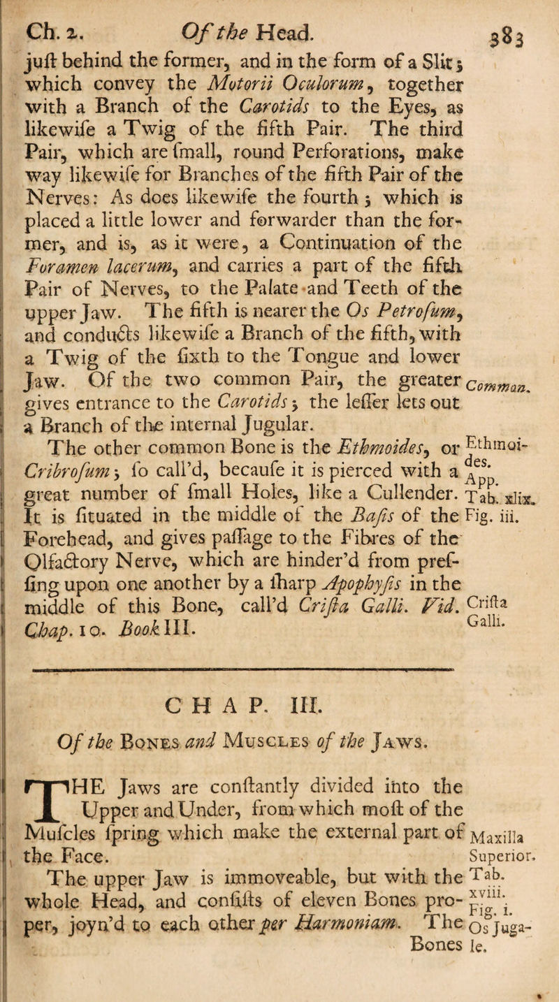 juft behind the former, and in the form of a Slit 5 which convey the Motorii Oculorum, together with a Branch of the Carotids to the Eyes, as likewife a Twig of the fifth Pair. The third Pair, which arefmall, round Perforations, make way likewife for Branches of the fifth Pair of the Nerves: As does likewife the fourth \ which is placed a little lower and forwarder than the for* mer, and is, as it were, a Continuation of the Foramen lacerum, and carries a part of the fifth Pair of Nerves, to the Palate-and Teeth of the upper Jaw. The fifth is nearer the Os Petrofum, and conducts likewife a Branch of the fifth, with a Twig of the fixth to the Tongue and lower Jaw. Of the two common Pair, the greater commas gives entrance to the Carotids-y the lefler lets out a Branch of the internal Jugular. The other common Bone is the Ethmoidesy or jphmoi- 1 Cribrofum y fo call’d, becaufe it is pierced with a great number of fmall Holes, like a Cullender. Tab xlix It is fituated in the middle of the Bafis of the Fig. m. E Forehead, and gives paffage to the Fibres of the i Qlfadtory Nerve, which are hinder’d from pref- t fing upon one another by a fharp Apophyfis in the middle of this Bone, call’d Crifia Galli. Fid. Crifta Gbap.io* Book III. Galh* CHAP. III. Of the Bones and Muscles of the Jaws. rriHE Jaws are conftantly divided into the 1 Upper and Under, from which moft of the ! Mufcles lpring which make the external part of Maxilla II the Face. Superior. The upper Jaw is immoveable, but with the Tab. ’ whole Head, and confifts of eleven Bones pro- I per, joyn’d to each other per Harmoniam. The Qsjuga- Bones Ie.