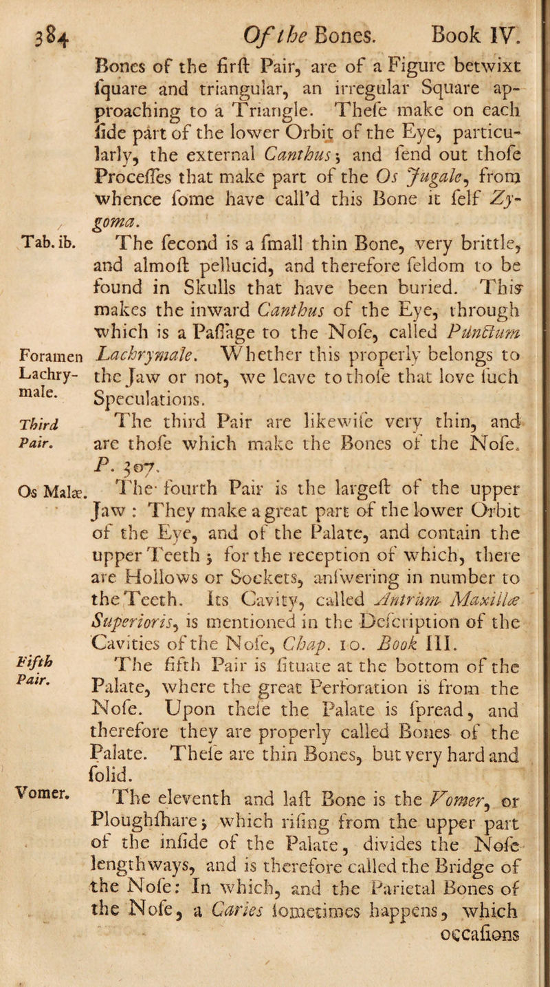 Tab. ib. Foramen Lachry- male. Third Pair. Os Make. Fifth Pair. Vomer. Bones of the firft Pair, are of a Figure betwixt fquare and triangular, an irregular Square ap¬ proaching to a Triangle. Thefe make on each fide part of the lower Orbit of the Eye, particu¬ larly, the external Canthus\ and fend out thofe Frocefles that make part of the Os Jugale, from whence fome have call’d this Bone it felf Zy¬ goma. The fecond is a fmall thin Bone, very brittle, and almoft pellucid, and therefore feldom to be found in Skulls that have been buried. Thi> makes the inward Canthus of the Eye, through which is a PafTage to the Nofe, called PUnttum Lachrymals. Whether this properly belongs to the Jaw or not, we leave to thofe that love iuch Speculations. The third Pair are likewile very thin, and are thofe which make the Bones of the Nofe, p. 307. The- fourth Pair is the largefl ot the upper Jaw : They make a great part of the lower Orbit of the Eye, and of the Palate, and contain the upper Teeth $ for the reception of which, there are Hollows or Sockets, anfwering in number to the Teeth. Its Cavity, called Antrum, Max-til# Superioris, is mentioned in the Dcfcription of the Cavities of the Note, Chap. 10. Book III. The fifth Pair is fituaue at the bottom of the Palate, where the great Peri-oration is from the Nofe. Upon thefe the Palate is fpread, and therefore they are properly called Bones of the Palate. Thefe are thin Bones, but very hard and folid. The eleventh and la ft Bone is the Vomer, or Ploughfhare * which riling from the upper part of the infide of the Palate, divides the Nofb lengthways, and is therefore called the Bridge of the Nofe: In which, and the Parietal Bones of the Nofe, a Caries lometimes happens, which cecafions