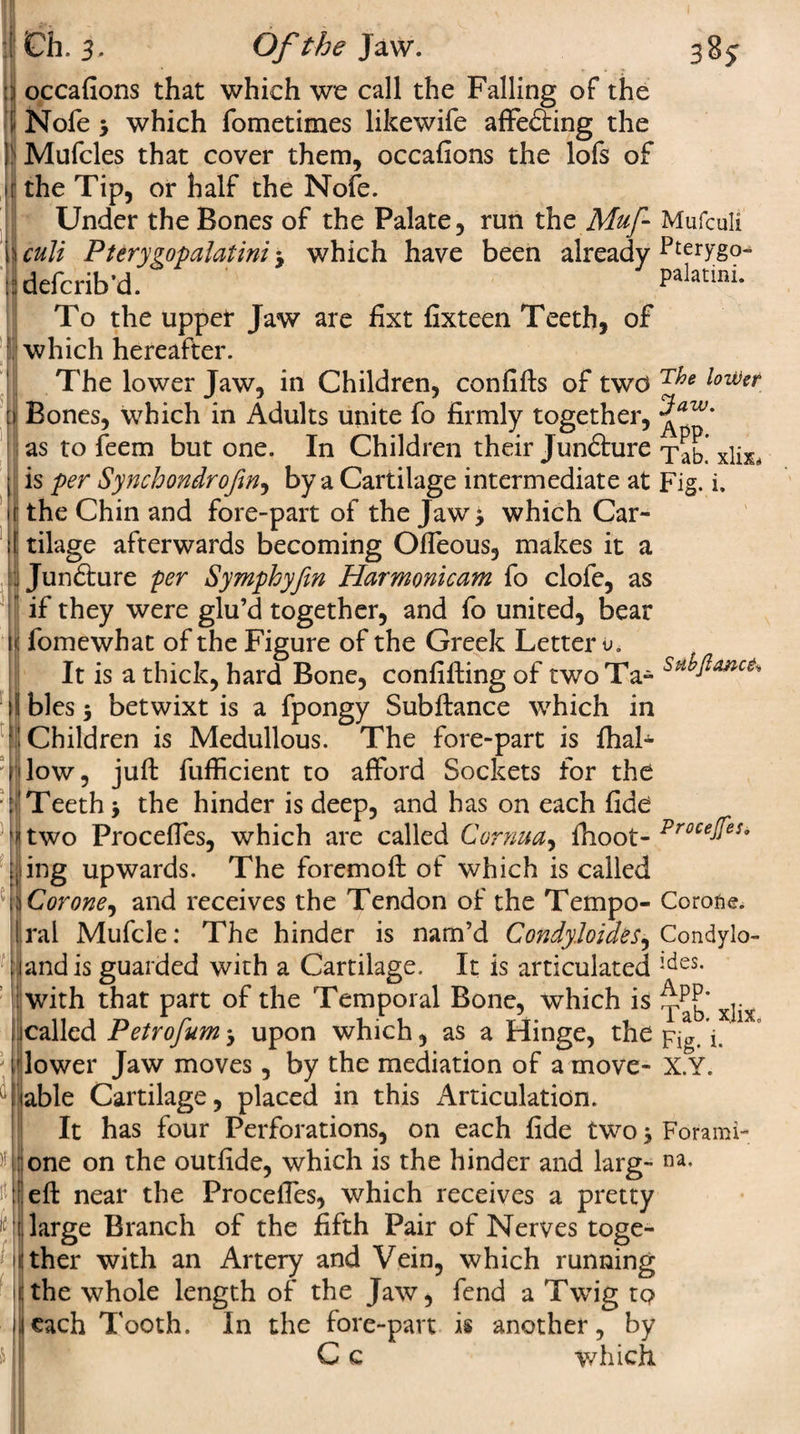3$$ Ch. 3. Ofthe^aw. occafions that which we call the Falling of the Nofe > which fometimes likewife affecting the Mufcles that cover them, occafions the lofs of j the Tip, or half the Nofe. Under the Bones of the Palate, run the Muf- \culi Pterygopalatini 5 which have been already i defcrib’d. To the upper Jaw are fixt fixteen Teeth, of which hereafter. The lower Jaw, in Children, confifts of two Bones, which in Adults unite fo firmly together, as to feem but one. In Children their Junfture is per Synchondrofm, by a Cartilage intermediate at the Chin and fore-part of the Jaw j which Car¬ tilage afterwards becoming Ofleous, makes it a ljunfture per Symphyfin Harmonicam fo clofe, as if they were glu’d together, and fo united, bear j fomewhat of the Figure of the Greek Letter 0. It is a thick, hard Bone, confifiing of two Ta¬ bles 5 betwixt is a fpongy Subftance which in j Children is Medullous. The fore-part is ihal- low, juft fufficient to afford Sockets for the Teeth > the hinder is deep, and has on each fide 4 two Procefles, which are called Cornua, fhoot- ing upwards. The foremoft of which is called Cor one, and receives the Tendon of the Tempo¬ ral Mufcle: The hinder is nam’d Condyloides, jandis guarded with a Cartilage. It is articulated with that part of the Temporal Bone, which is icalled Petrofum > upon which, as a Hinge, the lower Jaw moves, by the mediation of a move- able Cartilage, placed in this Articulation. It has four Perforations, on each fide twos ::one on the outfide, which is the hinder and larg- eft near the Procefies, which receives a pretty ' large Branch of the fifth Pair of Nerves toge¬ ther with an Artery and Vein, which running the whole length of the Jaw, fend a Twig to each Tooth. In the fore-part is another, by C c which Mufculi Pterygo¬ palatini. The loiVer Jaw. App. Tab. xliXi Fig. i. Sub fiance Procejfes. Corofie. Condylo¬ ides. App. Tab, xlix. Fig. i. X.Y. Forami¬ na,