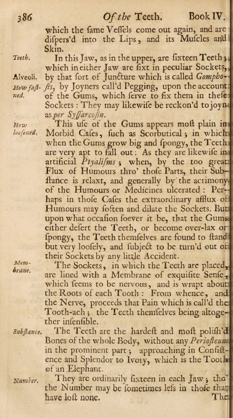 Teeth. Alveoli. How fa fi¬ ned. How loofencd, Mem¬ bra ne. Sub fiance. Number. which the fame Veflels come out again, and are difpers’d into the Lips , and its Mufcles and Skin. In this Jaw, as in the upper, are fixteen Teeth j which in either Jaw are fixt in peculiar Sockets, by that fort of juncture which is called Gompho- fis5 by Joyners call’d Pegging, upon the account of the Gums, which ferve to fix them in thefe Sockets: They may likewife be reckon’d tojoyii as per Syfar cofin. This ufe of the Gums appears mod plain im Morbid Cafes, fuch as Scorbutieal > in which: when the Gums grow big and fpongy, the Teeth are very apt to fall out: As they are likewife in artificial Ptyalifms \ when, by the too great Flux of Humours thro’ thofe Parts, their Sub- Ifance is relaxt, and generally by the acrimony, of the Humours or Medicines ulcerated : Per¬ haps in thofe Cafes the extraordinary afflux-of Humours may foften and dilate the Sockets. But upon what occafion foever it be, that the Gums either defert the Teeth, or become over-lax or fpongy, the Teeth themfelves are found to Hand: but very loofely, and fubjedl: to be turn’d out of; their Sockets by any litt.le Accident. The Sockets, in which the Teeth are placed,, are lined with a Membrane of exquifite Senfe, which feems to be nervous, and is wrapt about the Roots of each Tooth : From whence, and the Nerve, proceeds that Pain which is call’d the Tooth-ach ; the Teeth themfelves being altoge¬ ther infenfible. The Teeth are the hardeft and mofl polifh’d Bones of the whole Body, without any Periofieum. in the prominent part 5 approaching in Confid¬ ence and Splendor to Ivoiy, which is the Tooth of an ^Elephant. They are ordinarily fixteen in each Jaw 5 tho the Number may be tome times lefs in thofe that have loft none. The