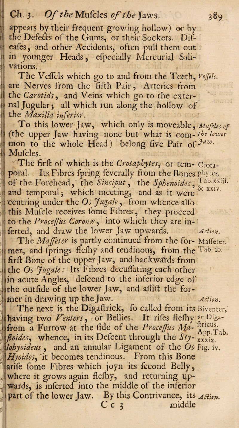 i i i ! r j ii : Ch. 3. Of the Mufcles of the Jaws. 38^ appears by their frequent growing hollow) or by the Defers of the Gums, or their Sockets. Dif- eafes, and other Accidents, often pull them out in younger Heads, efpecially Mercurial Sali¬ vations. . The Veflels which go to and from the Teeth, Vejfels. are Nerves from the fifth Pair, Arteries from the Carotids, and Veins which go to the exter- nal Jugular j all which run along the hollow of the Maxilla inferior. To this lower Jaw, which only is moveable, Mufcles of (the upper Jaw having none but what is com-ihe lozver mon to the whole Head) belong live Pair o£^aWm Mufcles. Crota- phytes. Tab.xxiii.’ &lt;k xxiv. Action. Mafleter. Tab. ib. The firft of which is the Crotaphytes, or tem- : poral. Its Fibres fpring feverally from the Bones d of the Forehead, the Sinciput, the Sphenoides, and temporal * which meeting, and as it were centring under the Os Jugale, from whence alfo this Mufcle receives fome Fibres, they proceed to the Proceffus Corona, into which they are in- ferted, and draw the lower Jaw upwards. The Mafjeter is partly continued from the for¬ mer, and fprings flefhy and tendinous, from the firft Bone of the upper Jaw, and backwaYds from the Os Jugale: Its Fibres decuffating each other in acute Angles, defcend to the inferior edge of the outlide of the lower Jaw, and a Hi ft the for- inter in drawing up the Jaw. The next is the Digaftrick, fo called from its having two Venters, or Bellies. It rifes flefhy from a Furrow at the fide of the Proceffus Ma- ftoides, whence, in its Defcent through the Sty- iohyoideus, and an annular Ligament of the Os ,Hyoides, it becomes tendinous. From this Bone arife fome Fibres which joyn its fecond Belly, where it grows again flefhy, and returning up¬ wards, is inferted into the middle of the inferior part of the lower Jaw. By this Contrivance, its Attbn. t Affion. Biventer, or Diga- ftricus. App.Tab. xxxix. Fig. iv. t. Hi