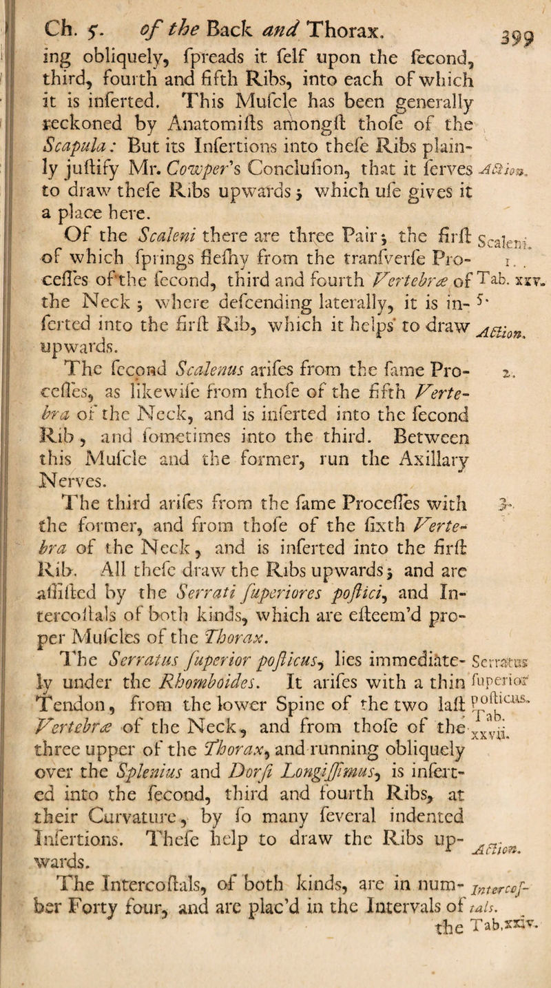 ing obliquely, fpreads it felf upon the fecond, third, fourth and fifth Ribs, into each of which it is inferted. This Mufcle has been generally reckoned by Anatom ills among ft thofe of the Scapula: But its Infertions into thefe Ribs plain¬ ly juftify Mr. Cowper's Conclufion, that it ferves ai&amp;im. to draw thefe Ribs upwards j which ufe gives it a place here. Of the Scaleni there are three Pair*, the fir ft Scales of which fprings flefhy from the tranfverfe Pro- i, cefles of the fecond, third and fourth Vertebrae of Tab. xzv. the Neck $ where defcending laterally, it is in- fcrted into the firft Rib, which it helps to draw a til on upwards. The fecond Scalenus arifes from the fame Pro- z. * cedes, as likewife from thofe of the fifth Verte¬ bra of the Neck, and is inferted into the fecond Rib , and fometimes into the third. Between this Mufcle and the former, run the Axillary Nerves. The third arifes from the fame Procefles with &gt;■ . the former, and from thofe of the fixth Verte¬ bra of the Neck, and is inferted into the firft Rib. All thefe draw the Ribs upwards j and arc afiiftcd by the Serrati fuperlores poftici, and In- tercoftals of both kinds, which are efteem’d pro¬ per Mulcles of the Thorax. The Serratm fuperior pofticus^ lies immediate- Serrates Iv under the Rhomboides. It arifes with a thin fuperictf Tendon, from the lower Spine of the two laft u' Vertebra of the Neck, and from thofe of the xx‘v^ three upper of the Thorax, and running obliquely over the Splenius and Dorft Longiftimusj is infert¬ ed into the fecond, third and fourth Ribs, at their Curvature, by fo many feveral indented Infertions. Thefe help to draw the Ribs up- An-on wards. The Intercoftals, of both kinds, are in num- jntercef- ber Forty four, and are plac’d in the Intervals of mis. the Tab.xxiv.