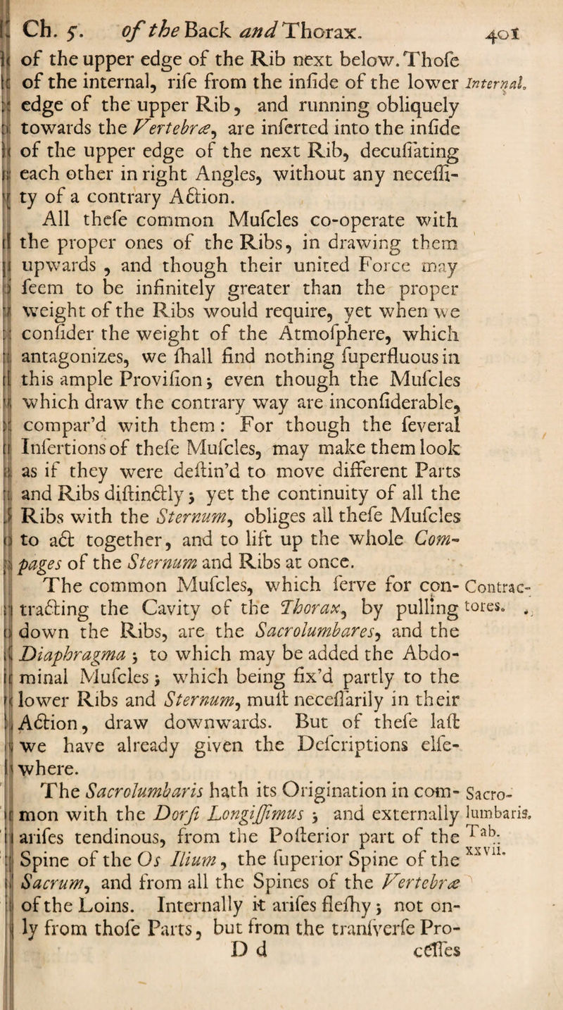 )| of the upper edge of the Rib next below. Thofe if of the internal, rife from the infide of the lower :: edge of the upper Rib, and running obliquely :i towards the Vertebra, are inferred into the infide H of the upper edge of the next Rib, decufiating ({ each other in right Angles, without any neceffi- v ty of a contrary Aftion. All thefe common Mufcles co-operate with il the proper ones of the Ribs, in drawing them ]i upwards , and though their united Force may | feem to be infinitely greater than the proper weight of the Ribs would require, yet when we :: confider the weight of the Atmolphere, which :: antagonizes, we fihall find nothing fuperfluous in ([ this ample Provifionj even though the Mufcles which draw the contrary way are inconfiderable, H compar’d with them: For though the feveral if Infertionsof thefe Mufcles, may make them look a as if they wrere defiin’d to move different Parts and Ribs diftinftly y yet the continuity of all the } Ribs wfith the Sternum, obliges all thefe Mufcles n to aft together, and to lift up the whole Com- a pages of the Sternum and Ribs at once. The common Mufcles, which ferve for con- n trafting the Cavity of the :Thorax., by pulling fl down the Ribs, are the Sacrolumbares, and the 1 Diaphragma y to which may be added the Abdo- l|j minal Mufcles y which being fix’d partly to the H lower Ribs and Sternum, mult necefiarily in their hAftion, draw downwards. But of thefe lafh i&lt;j we have already given the Defcriptions elfe- | where. The Sacrolumbar is hath its Origination in com¬ ic mon with the Dorji LongiJJimus y and externally iiarifes tendinous, from the Pofierior part of the Spine of the Os Ilium, the fuperior Spine of the Sacrum, and from all the Spines of the Vertebra jl of the Loins. Internally k arifes flefhy y not on- \ ly from thofe Parts, but from the tranfverfe Pro- D d cftfes 401 Internal, Contrac- tores. , Sacro- lumbaris. Tab. xxvii.