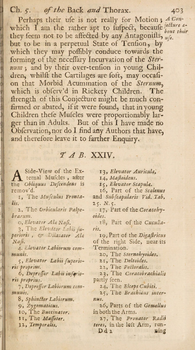 Perhaps their ufe is not really for Motion 3 ACon- r which I am the rather apt to fufpeft, becaufe^Ythtir (they feem not to be affe&amp;ed by any Antagooilts, ^ but to be in a perpetual State of Tenfion, by which they may pofiibly conduce towards the forming of the neceflary Incurvation of the Ster- t; num 3 and by their over-tenfion in young Chil« .b dren, whilif the Cartilages are foft, may occafi- :&gt; on that Morbid A cumulation of the Sternum5 r which is obferv’d in Rickety Children. The ftrength of this Conjedture might be much con- if firmed or abated, if it were found, that in young J Children thefe Mufcles were proportionably lar- ; ger than in Adults. But of this I have made no S Obfervation,nor do I find any Authors that have3 and therefore leave it to farther Enquiry. r A B. XXIV. T d rv ASide-View of the Ex¬ ternal Mufcles , after the Obliquus Defcendens is remov’d. 1, The Muficulus 'Fronta¬ lis. 2, The Orbicularis Palpe¬ brarum. o, Elevator Ala Nafi. 3, The Elevator Labii ju- perioris , esr Dilatator Ala Nafi. 4. Elevator Labiorum com¬ munis. 5, Elevator Labii fiuperio- ris proprius. 6, Depreffor Labii infefrio- ris proprius. 7, Deprejfor Labiorum com¬ munis. 8, Sphinfter Labiorum. 9, Zygomaticus. 10, The Buccinator. II, The Majfeter. 12, Temporalis. 13, Elevator Auricula, 14, Mafioideus. 15, Elevator Scapula. 16, Part of the Scalenus and Subfcaputaris Vid. Tab. 25. N. 5. 17, Part of the Coracohy- oides. 18^ Part of the Cuculla- ris. 19, Part of the Digafiricus of the right Side, near its Termination. 20, The Sternohyoides. 2 t , The Deltoides. 22, The Petloralis. 23, The Coracobracbialis partly feen. 24, The Biceps Cubiti. 25, The Bracbiaus inter- nus. 26, Parts of the Gemellus in both the Arms. 27, The Pronator Radii teres, in the left Arm, run- D d 2 Bing