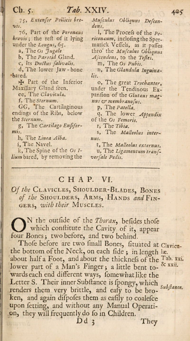 Ch. c. Tab. XXIY. 75, Extenfor Pollicis bre¬ ws. 76, Part of the Peron&amp;us brevis; the reft of it lying under the Longus, 65. a, The O* Jugale b, The Parotid Gland. c, Its Dudtus falivalis. d, The lower Jaw-bone •bared. Part of the Inferior Maxillary Gland feen. ee, The Clavicule. f. The Sternum. GG, The Cartilaginous endings of the Ribs, below the Sternum. g, The Cartilago Enfifor- mis. h, The Linea Alba. i. The Navel. k, The Spine of the Os I- lium bared, by removing the Mufcuius Obliquus Defcen- dens. l, The Procefs of the Pe¬ ritoneum, inclofingthe Sper- matick Veffels, as it pafies thro the Muf cuius Obliquus Afcendens, to the Tejles, m, The Os Pubis. n, The Glandula Inguina- lis. o, The great Trochanter, under the Tendinous Ex- panfion of the Gluteus mag- nus c? mtmbranofus. p, The Patella. q, The lower Appendix of the Os Femoris. r, The Tibia. s, The Malleolus inter- nus. t, The Alalleolus ext emus. u, The Ligamentum tranf- verfale Pedis. 4*5* 1 CHAP. VI. Of the Clavicles, Shoulder-Blades, Bones of the Shoulders, Arms, Hands and Fin¬ gers , with their Muscles. ON the outfide of the Thorax, befides thofe which conffitute the Cavity of it, appear four Bones 5 two before, and two behind. Thofe before are two fmall Bones, fituated at Clavica- the bottom of the Neck, on each fide ; in length lae. about half a Foot, and about the thicknefs of the Tab* xxi' lower part of a Man’s Finger 5 a little bent to- XX1*' wards each end different ways, fomewhatlike the LetterS. Their inner Subftance is fpongy, which c ,r renders them very brittle, and eafy to be bro- Su jtance' ken, and again difpofes them as eafily to coalefce upon fetting, and without any Manual Operati¬ on, they will frequently do fo in Children. Dd 3 They