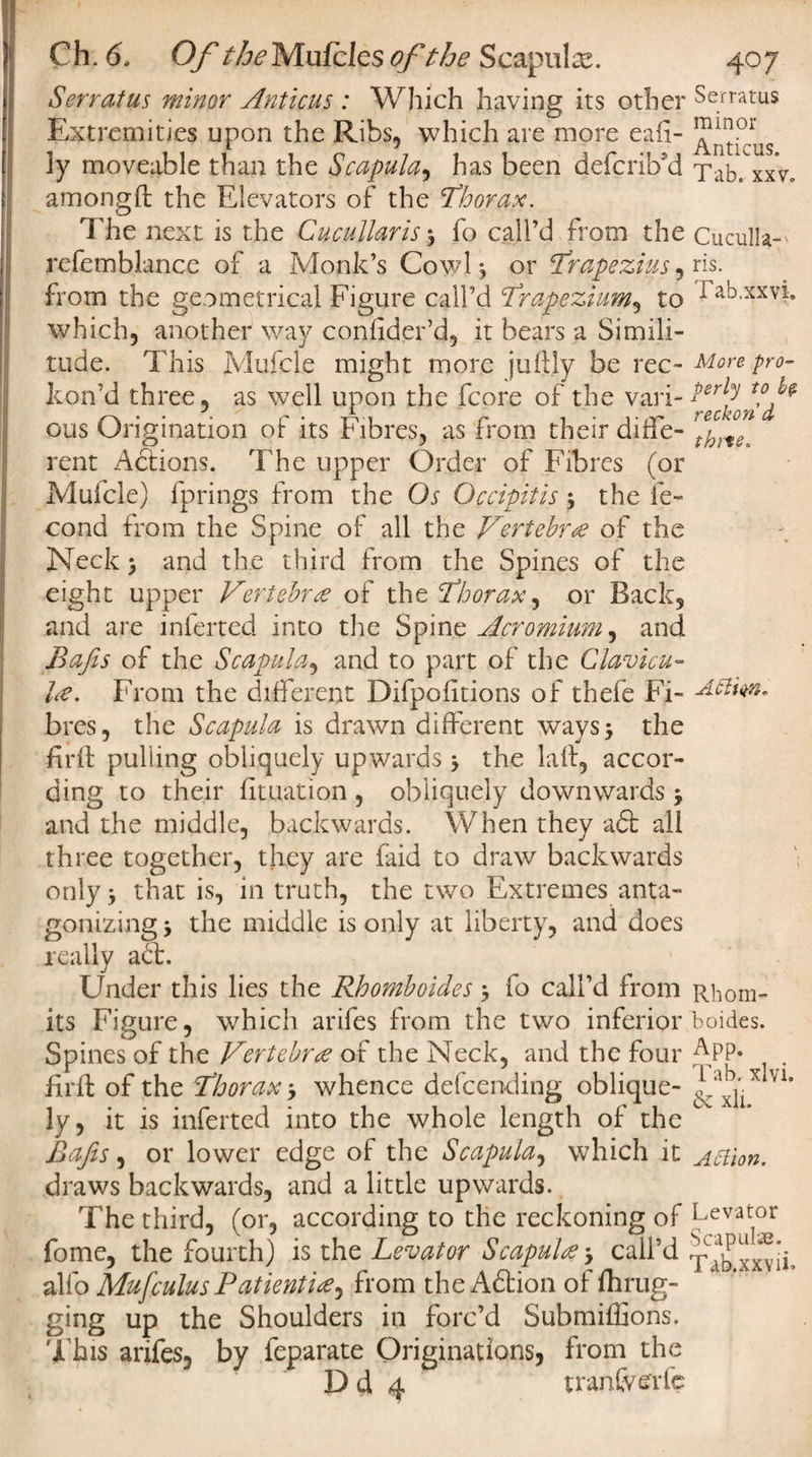 S err at us minor Anticus : Which having its other Serratus Extremities upon the Ribs, which are more eafi- ly moveable than the Scapula, has been defcrib’d Tab^xxV, amongft the Elevators of the Thorax. The next is the Cupullaris 3 fo call’d from the Cuculte- refembJance of a Monk’s Cowl 3 or Trapezius, ris. from the geometrical Figure call’d Trapezium, to Lab.xxvi. which, another way conlider’d, it bears a Simili¬ tude. This Mufcle might more juftly be rec-More pro- kon’d three, as well upon the fcore of the vari- ous Origination of its Fibres, as from their diffe- rent Actions. The upper Order of Fibres (or Mufcle) fprings from the Os Occipitis 3 the fe~ cond from the Spine of all the Vertebra of the Neck 3 and the third from the Spines of the eight upper Vertebra of the Thorax ^ or Back, and are inferted into the Spine Acromium, and Bajis of the Scapula, and to part of the Clavicu- he. From the different Difpofitions of thefe Fi- xicim. bres, the Scapula is drawn different ways 3 the firft pulling obliquely upwards 3 the la ft, accor¬ ding to their fttuation , obliquely downwards 3 and the middle, backwards. When they aft all three together, they are faid to draw backwards only 3 that is, in truth, the two Extremes anta¬ gonizing 3 the middle is only at liberty, and does really act. Under this lies the Rbomboides 3 fo call’d from Rbom- its Figure, which arifes from the two inferior boides. Spines of the Vertebra of the Neck, and the four APP» firft of the Thorax 3 whence defending oblique- vl* ly, it is inferted into the whole length of the Bajis, or lower edge of the Scapula, which it Action. draws backwards, and a little upwards. The third, (or, according to the reckoning of Levator fome, the fourth) is the Levator Scapula 3 call’d ^bxxvii. alfo Mufculus Patiently, from the Aftion of drug¬ ging up the Shoulders in forc’d Submiffions. This arifes, by feparate Originations, from the Dd 4 tranfverfe