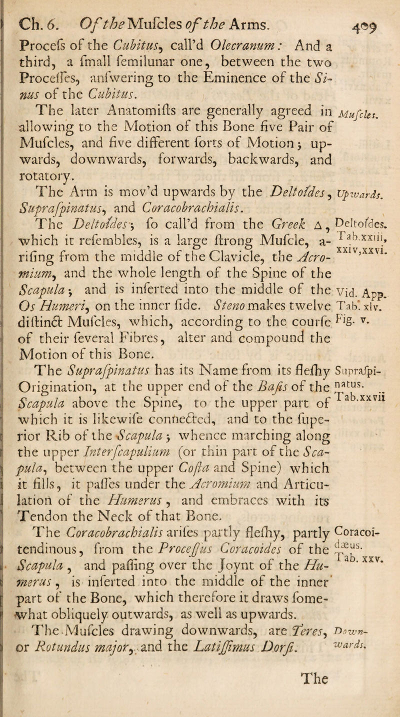 Procefs of the Cubitus, call’d Olecranum: And a third, a fmall femilunar one, between the two Proceifes, anfwering to the Eminence of the Si¬ nus of the Cubitus. The later Anatomifts are generally agreed in Mufcles. allowing to the Motion of this Bone five Pair of Mufcles, and five different forts of Motion &gt; up¬ wards, downwards, forwards, backwards, and rotatory. The Arm is mov’d upwards by the Delto/des y upzvdrds. Suprafpinatus, and Coracobrachialis. The Deltotdes'\ fo call’d from the Greek a , Deltofcfes. which it refembles, is a large flrong Mufcle, a- * ab,xx,ih rifing from the middle of the Clavicle, the Aero- xxlv,xxvi* mium, and the whole length of the Spine of the Scapula \ and is inferred into the middle of the vid. App Os Humeri, on the inner fide. Stem makes twelve Tab. xlv. diltindt Mufcles, which, according to the courfe Eg- v* of their feveral Fibres, alter and compound the Motion of this Bone. The Suprafpinatus has its Name from its flefhy Suprafpi- Origination, at the upper end of the Bafts of the natus- Scapula above the Spine, to the upper part of which it is likewife connedfed, and to the fupe- rior Rib of the Scapula-y whence marching along the upper Interfcapulium (or thin part of the Sca- pula, between the upper Cofta and Spine) which it fills, it pafles under the Acromium and Articu¬ lation of the Humerus , and embraces with its Tendon the Neck of that Bone. The Coracobrachialis arifes partly flefhy, partly Coracoi- tendinous, from the Procefjus Coracoides of the£s- Scapula , and pafiing over the Joynt of the Hu- ' xxv* merus, is -inferred into the middle of the inner part of the Bone, which therefore it draws fome- what obliquely outwards, as well as upwards. The.Mufcles drawing downwards, are Teres ^ Down- ox Rotundas major, and the Latijfimus Dorfe. wards. c Tab.xxvii The