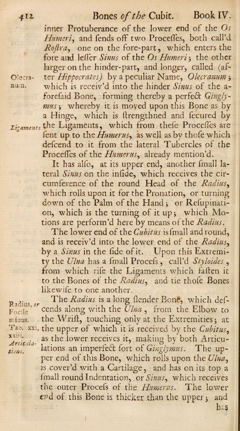 4*2, Bones of the Cubit. Book IV. inner Protuberance of the lower end of the Os Humeri, and fends off two Proceffes, both call’d Roftra, one on the fore-part, which enters the fore and lefler Sinus of the Os Humeri', the other larger on the hinder-part, and longer, called (af- Olecra- ter Hippocrates) by a peculiar Name, Olecranum 3 na;n. which is receiv’d into the hinder Sinus of the a- forefaid Bone, forming thereby a perfedt Gingly- mus3 whereby it is moved upon this Bone as by a Hinge, which is (Length ned and fecured by Zb aments the Ligaments, which from thefe Procefles are fent up to the Humerus, as well as by thofe which defcend to it from the lateral Tubercles of the Proceffes of the Humerus, already mention’d. It has alfo, at its upper end, another fmall la¬ teral Sinus on the infide, which receives the cir¬ cumference of the round Head of the Radius, which rolls upon it for the Pronation, or turning down of the Palm of the Hand 3 or Refupinati- on, which is the turning of it up3 which Mo¬ tions are perform’d here by means of the Radius. The lower end of the Cubitus is fmall and round, and is receiv’d into the lower end of the Radius, by a Sinus in the fide of it. Upon this Extremi¬ ty the Ulna has a fmall Procefs, call’d Styloides , from which rife the Ligaments which fallen it to the Bones of the Radius, and tie thofe Bones likewife to one another. Radius or ^ Raditis *s a l°ng flender Bone, which def- Focile 5 cends along with the Ulna , from the Elbow to minus. the Wrift, touching only at the Extremities 5 at Tao. xxi, the upper of which it is received by the Cubitus, as the lower receives it, making by both Articu¬ lations an imperfedt fort of Ginglymus. The up¬ per end of this Bone, which rolls upon the Ulna, is cover’d with a Cartilage, and has on its top a fmall round Indentation, or Sinus, which receives the outer Procels of the Humerus. The lower end of this Bone is thicker than the upper 3 and has xxnw Articula¬ tions.