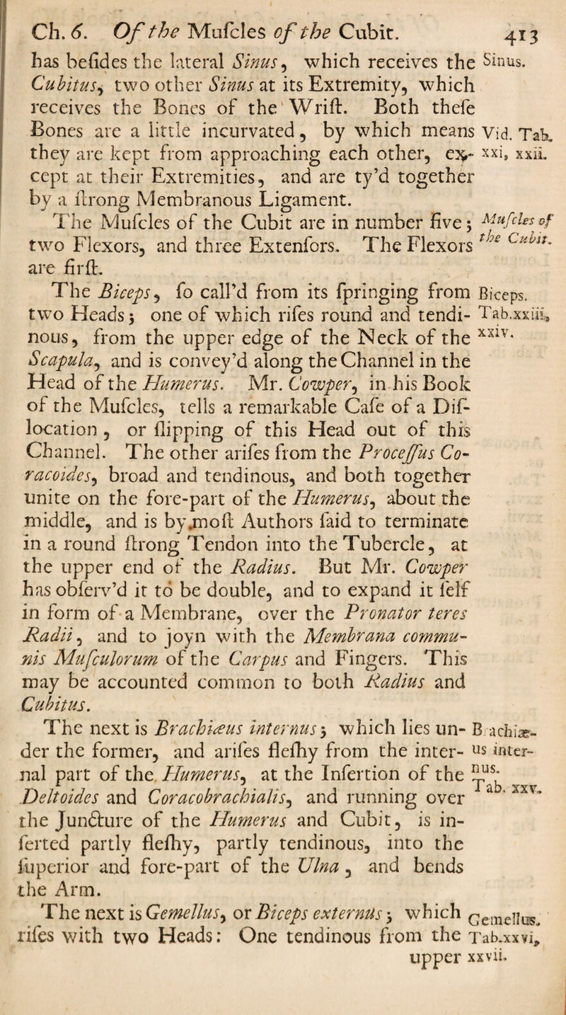 has be (Ides the lateral Sinus, which receives the Sinus. Cubitus, two other Sinus at its Extremity, which receives the Bones of the Wrift. Both thefe Bones are a little incurvated, by which means Vid. Tak they are kept from approaching each other, cv xxi, xxil. cept at their Extremities, and are ty’d together by a flrong Membranous Ligament. The Mufcles of the Cubit are in number five; Mufcles two Flexors, and three Extenfors. The Flexors t'J£ Cu^iU are fir ft. The Biceps, fo call’d from its fpringing from Biceps, two Heads; one of which rifes round and tendi- Tab.xxiii, nous, from the upper edge of the Neck of the xxlv* Scapula^ and is convey’d along the Channel in the Head of the Humerus. Mr. Cowper, in his Book of the Mufcles, tells a remarkable Cafe of a Difi- location , or (lipping of this Head out of this Channel. The other arifes from the Proceffus Co- racoides, broad and tendinous, and both together unite on the fore-part of the Humerus, about the middle, and is by .mod Authors (aid to terminate in a round firong Tendon into the Tubercle, at the upper end of the Radius. But Mr. Cowper hasobferv’d it to be double, and to expand it felf in form of a Membrane, over the Pronator teres Radii, and to joyn with the Membrana commu¬ nis Mufculorum of the Carpus and Fingers. This may be accounted common to both Radius and Cubitus. The next is Brach'ueus internusj which lies tin- B achiae- der the former, and arifes flefhy from the inter- us inter¬ nal part of the. Humerus, at the Infertion of the Deltoides and Coracobrachialis, and running over a ’ xxv~ the Jundture of the Humerus and Cubit, is in¬ ferred partly flefhy, partly tendinous, into the fuperior and fore-part of the Ulna, and bends the Arm. The next is Gemellus, or Biceps externiis; which GemejIlIS&lt; rifes with two Heads: One tendinous from the Takxxvi, upper xxvii.