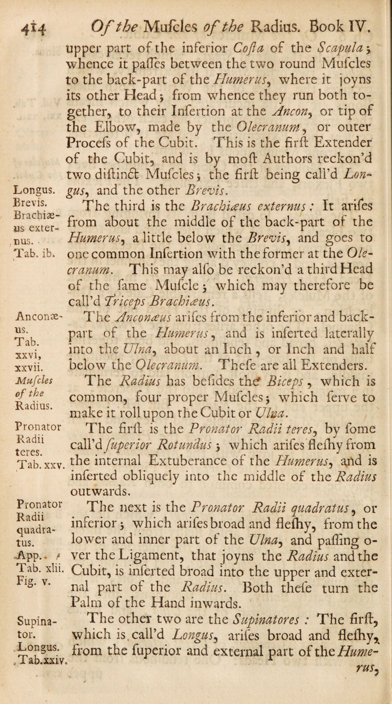 Longus. Brevis. Brachiae- us exter- nus. 4x4 Of the Mufcles of the Radius. Book IV. upper part of the inferior Cofta of the Scapula \ whence it paflcs between the two round Mufcles to the back-part of the Humerus, where it joy ns its other Head * from whence they run both to¬ gether, to their Infertion at the Ancon, or tip of the Elbow, made by the Olecranum, or outer Procefs of the Cubit. This is the fir ft Extender of the Cubit, and is by moft Authors reckon’d two diftindt Mufcles * the firft being call’d Lon¬ gus, and the other Brevis. The third is the Brachiceus ext emus: It arifes from about the middle of the back-part ot the Humerus, a little below the Brevis, and goes to Tab. ib. one common Infertion with the former at the Ole¬ cranum. This may alfo be reckon’d a third Head of the fame Mufcle * which may therefore be call’d Triceps Brachiceus. The Anconeus arifes from the inferior and back- part of the Humerus, and is inferted laterally into the Ulna, about an Inch , or Inch and half below the Olecranum. Thefe are ail Extenders. The Radius has befides thd* Biceps, which is common, four proper Mufcles* which ferve to make it roll upon the Cubit or Ulya. The firft is the Pronator Radii teres, by fome call’d fuperior Roturidus &gt; which arifes flefhy from fab*xxv. Eternal Extuberance of the Humerus, and is inferted obliquely into the middle of the Radius outwards. The next is the Pronator Radii quadratus, or inferior* which arifes broad and flefhy, from the lower and inner part of the Ulna, and palling o- ver the Ligament, that joyns the Radius and the Anconae- us. Tab. xxvi, xxvii. Mufcles of the Radius. Pronator Radii teres. Pronator Radii quadra¬ tus. -App.. / Tab. xlii. Cubit, is inferted broad into the upper and exter- Flg. V. _- _ Z3 „ J:'._ .1 fir _ Supina¬ tor. Longus. .Tab.xxiv, nal part of the Radius. Both thefe turn the Palm of the Hand inwards. The other two are the Supinatores : The firft, which is call’d Longus, arifes broad and flefhy* from the fuperior and external part of the Hume- rus\