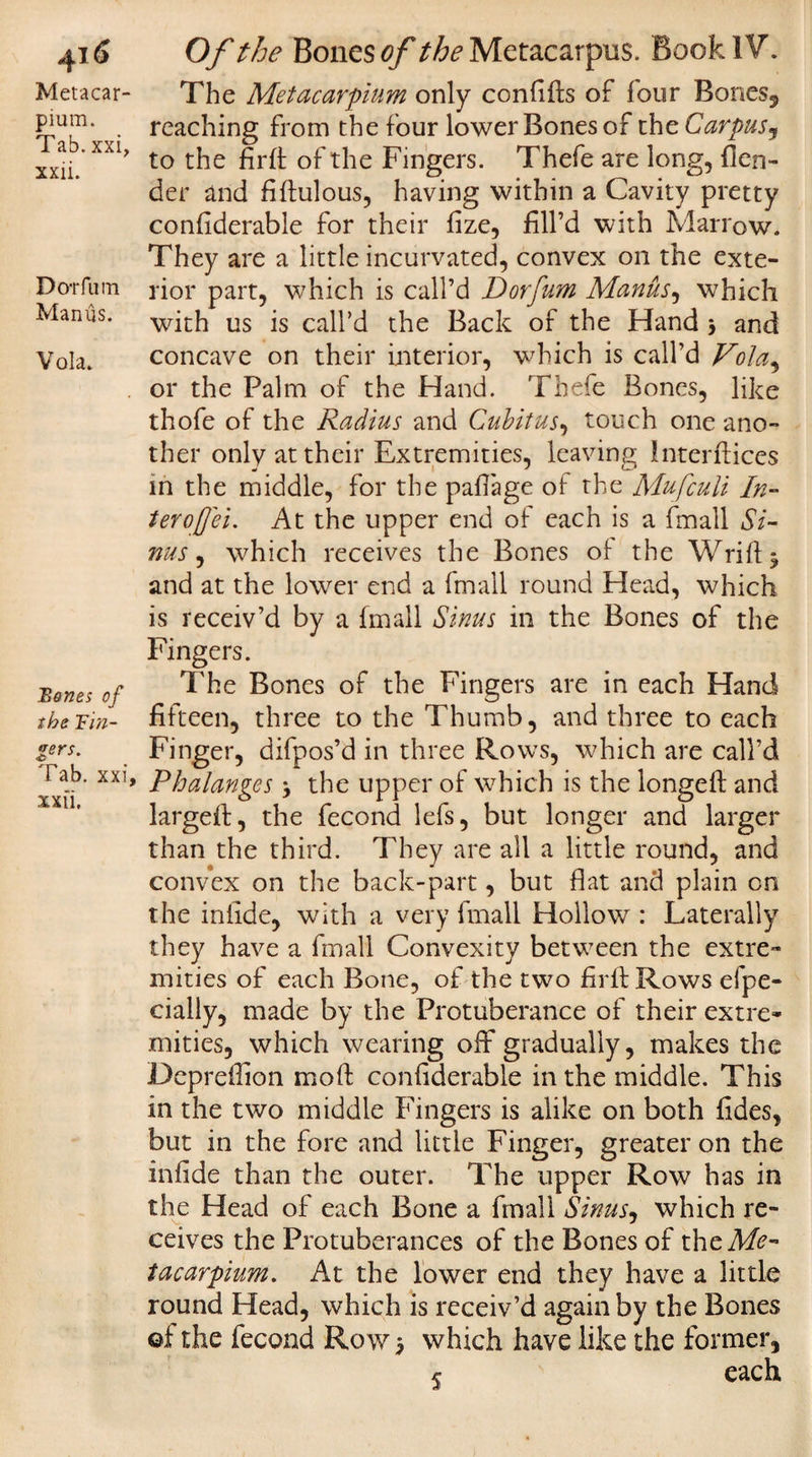 Metacar- pium. Tab. xxi, xxii. Dot fum Manus. Vola. Bones of the Bin- Zer$* Tab. xxi, xxii. The Metacarpium only confifts of four Bones, reaching from the four lower Bones of the Carpus, to the firft of the Fingers. Thefe are long, {len¬ der and fiftulous, having within a Cavity pretty considerable for their Size, fill’d with Marrow. They are a little incurvated, convex on the exte¬ rior part, which is call’d Dorfum Manus, which with us is call’d the Back of the Hand > and concave on their interior, which is call’d Vola^ or the Palm of the Hand. Thefe Bones, like thofe of the Radius and Cubitus, touch one ano¬ ther only at their Extremities, leaving interfaces in the middle, for the paffage of the Mufcuii In- terofei. At the upper end of each is a fmall Si¬ nus, which receives the Bones of the Wrift^ and at the lower end a fmall round Head, which is receiv’d by a fmall Sinus in the Bones of the Fingers. The Bones of the Fingers are in each Hand fifteen, three to the Thumb, and three to each Finger, difpos’d in three Rows, which are call’d Phalanges , the upper of which is the longed; and largefi;, the fecond lefs, but longer and larger than the third. They are all a little round, and convex on the back-part, but flat and plain on the infide, with a very fmall Hollow : Laterally they have a fmall Convexity between the extre¬ mities of each Bone, of the two fir ft Rows efpe- cially, made by the Protuberance of their extre¬ mities, which wearing off gradually, makes the Depreflion mod: confiderable in the middle. This in the two middle Fingers is alike on both Sides, but in the fore and little Finger, greater on the infide than the outer. The upper Row has in the Head of each Bone a fmall Sinus, which re¬ ceives the Protuberances of the Bones of the Me¬ tacarpium. At the lower end they have a little round Head, which is receiv’d again by the Bones ©f the fecond Row 5 which have like the former, ^ each