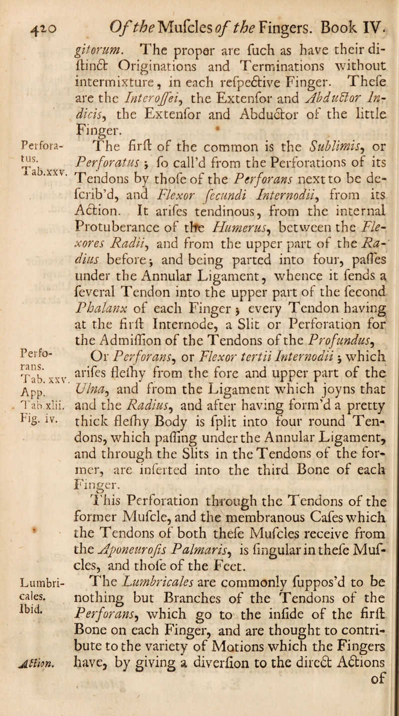4^o Perfora- tus. Tab.xxv. Perfo¬ rans. Tab. xxv. App. 1 ab.xlii. Fig. iv. Lumbri- cales. Ibid. Attion. Of the Mufcles of the Fingers. Book IV. gitorum. The proper are fiich as have their di- flinft Originations and Terminations without intermixture, in each refpedtive Finger. Thefe are the Interojfei, the Extenfor and AbdvMor In- dicis, the Extenfor and Abductor of the little Finger. • The fir ft of the common is the Sublimis, or Per for at us j fo call’d from the Perforations of its Tendons by thofe of the Perforans next to be de- ferib’d, and Flexor fecundi Internodii, from its Action. It arifes tendinous, from the internal Protuberance of the Humerus, between the Fle¬ xor es Radii, and from the upper part of the Ra¬ dius before and being parted into four, pafies under the Annular Ligament, whence it fends a feveral Tendon into the upper part of the fecond Phalanx of each Finger > every Tendon having at the fir ft Internode, a Slit or Perforation for the Admiftion of the Tendons of the Profundus, Or Perforans, or Flexor tertii Internodii j which arifes fleihy from the fore and upper part of the Ulna^ and from the Ligament which joyns that and the Radius, and after having form’d a pretty thick flefliy Body is fplit into four round Ten¬ dons, which palling under the Annular Ligament, and through the Slits in the Tendons of the for¬ mer, are inferted into the third Bone of each Finger. This Perforation through the Tendons of the former Mufcle, and the membranous Cafes which the Tendons of both thefe Mufcles receive from the Aponeurofis Palmar A, is lingular in thefe Muf¬ cles, and thofe of the Feet. The Lumbricales are commonly fuppos’d to be nothing but Branches of the Tendons of the Perforans, which go to the infide of the fir ft Bone on each Finger, and are thought to contri¬ bute to the variety of Motions which the Fingers have, by giving a diverfion to the dire£t Actions of