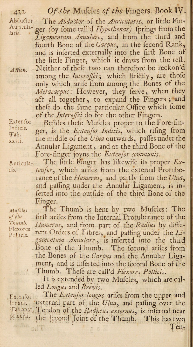 ^.11 Abdu&amp;or AuiEula- laris. Action. Extenfor Tndicis. Tab. xxvii. Auricula- ris. Mufcles of the Thumb, Flexores Pollicis. \ Extenfor long us. Tab. xxv i, &amp; xxvii. V- X t . i / . Of the Mufcles of the Fingers. Book IV, The AbduUor of the Aurictilaris, or little Fin¬ ger (by fome call’d Hypothenar) fprings from the Ligamentum Annulare, and from the third and fourth Bone of the Carpus, in the fecond Rank, and is inferted externally into the firft Bone of the little Finger, which it draws from the ref:. Neither of thefe two can therefore be reckon’d among the Inter off ei -&gt; which ftri&amp;ly, are thofe only which arife from among the Bones of the Metacarpus: However, they ferve, when they a£t all together, to expand the Fingers &gt; and thefe do the fame particular Office which fome of the Interejfei do for the other Fingers. Befides thefe Mufcles proper to the Fore-fin¬ ger, is the Extenfor Indicis, which riling from the middle of the Ulna outwards, paffies under the Annular Ligament, and at the third Bone of the Fore-finger joy ns the Extenfor communis. The little Finger has like wife its proper Ex¬ tenfor, which arifes from the external Protube¬ rance of the Humerus') and partly from the Ulna, and paffing under the Annular Ligament, is in¬ ferted into the outfide of the third Bone of the Finger. The Thumb is bent by two Mufcles: The firft arifes from the Internal Protuberance of the Humerus') and from part of the Radius by diffe¬ rent Orders of Fibres^ and paffing under the Li¬ gamentum Annulare, is inferted into the third Bone of the Thumb. The fecond arifes from the Bones of the Carpus and the Annular Liga¬ ment, and is inferred into the fecond Bone of the Thumb. Thefe are call’d Flexores Pollicis. It is extended by two Mufcles, which are cal¬ led Longus and Brevis, The Extenfor longus arifes from the upper and external part of the Ulna, and paffing over the jfendon of the Raditeus externusy is inferted near the fecond joint of the Thumb. This has two &lt;•- *■ i *,