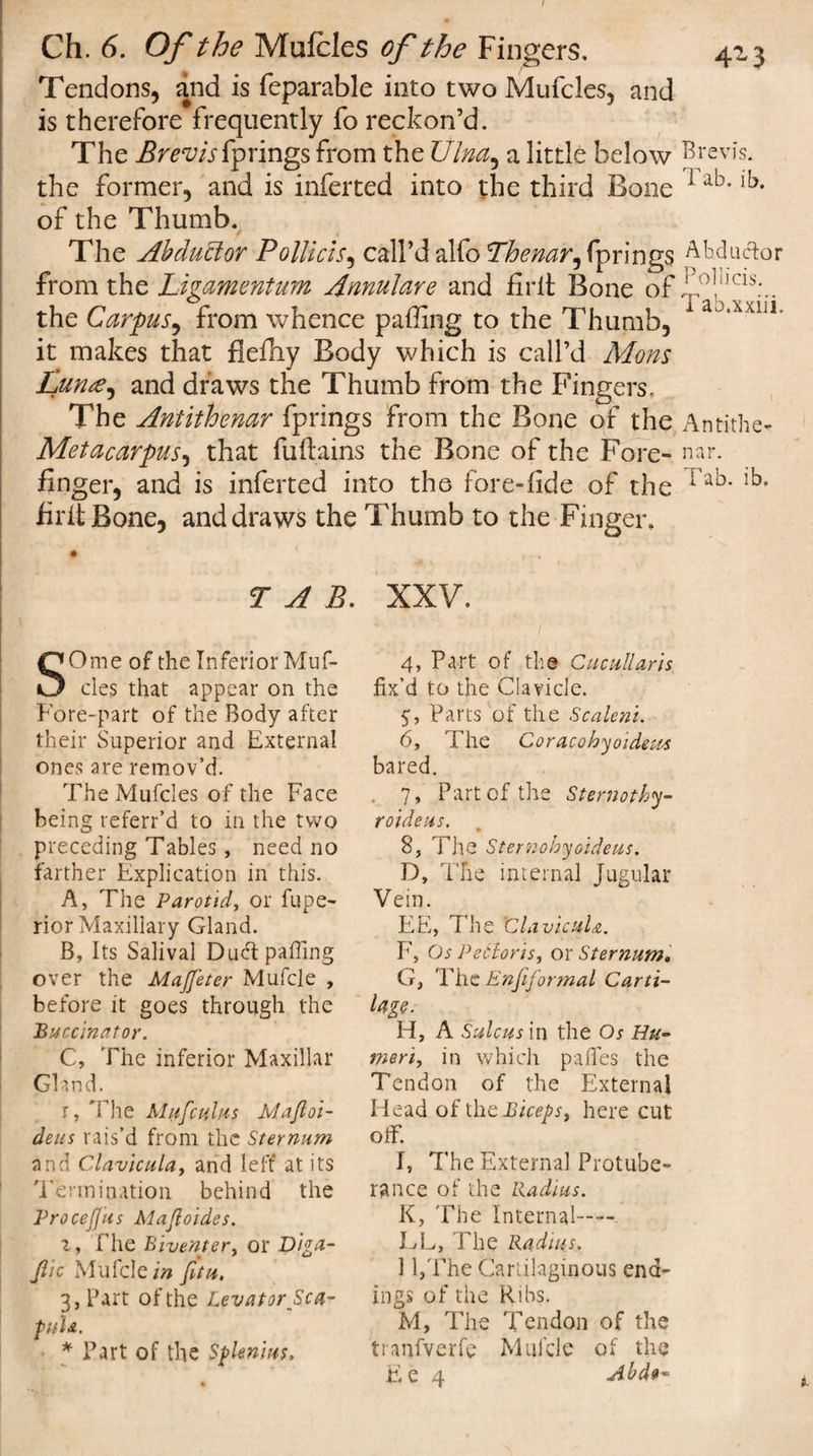 I Ch. 6. Of the Mufcles of the Fingers, 413 Tendons, and is feparable into two Mufcles, and is therefore frequently fo reckon’d. The Brevis {prings from the Ulna, a little below Brevis, the former, and is inferted into the third Bone 1 ab*lb* of the Thumb. The Abcluclor Pollicis, call’d alfo Thenar fprings Abductor from the Ligamentum Annulare and frit Bone of ;rf the Carpus, from whence palling to the Thumb, 1 °'XX1J1' it makes that flefhy Body which is call’d Mons Lun&lt;e^ and draws the Thumb from the Fingers, The Antithenar fprings from the Bone of the. Antithe- Metacarpus, that fuftains the Bone of the Fore- nar. finger, and is inferted into the fore-fide of the 1 a'D* !b* firitBone, and draws the Thumb to the Finger. TAB. XXV. SOme of the Inferior Muf¬ cles that appear on the Fore-part of the Body after their Superior and External ones are remov’d. The Mufcles of the Face being referr’d to in the two preceding Tables, need no farther Explication in this. A, The Parotid, or fupe- rior Maxillary Gland. B, Its Salival Du&lt;fi palling over the MaJJ'eter Mufcle , before it goes through the Buccinator. C, The inferior Maxillar Gland. r, The Mufcuius JvJafloi- dens rais’d from the Sternum and Clavicula, and left* at its Termination behind the ProceJJus Mafloides. 1, fhe Biventery or Diga- Jiic Mufcle in fitu. 3, Bart of the Levator Sca- puU. * Fart of the Splenius. 4, Part of the Cucullaris fix’d to the Clavicle. 5, Parts of the Scaleni. 6, 1 he Coracohyoidetts bared. . 7, Part of the Sternoth*y- roideus. 8, The Sternohyoideus. D, The internal Jugular Vein. EE, The 'ClavicuLz. F, Os Petlorisy or Sternum, G, The Enjiformal Carti¬ lage. H, A Sulcus in the Os Hu- meriy in which paffes the Tendon of the External Head of the BicepSy here cut off. I, The External Protube¬ rance of the Radius. K, The Internal—• LL, The Radius. 1 l,The Cartilaginous end¬ ings of the Ribs. M, The Tendon of the tranfverfe Mufcle of the Ee 4 Abd*~