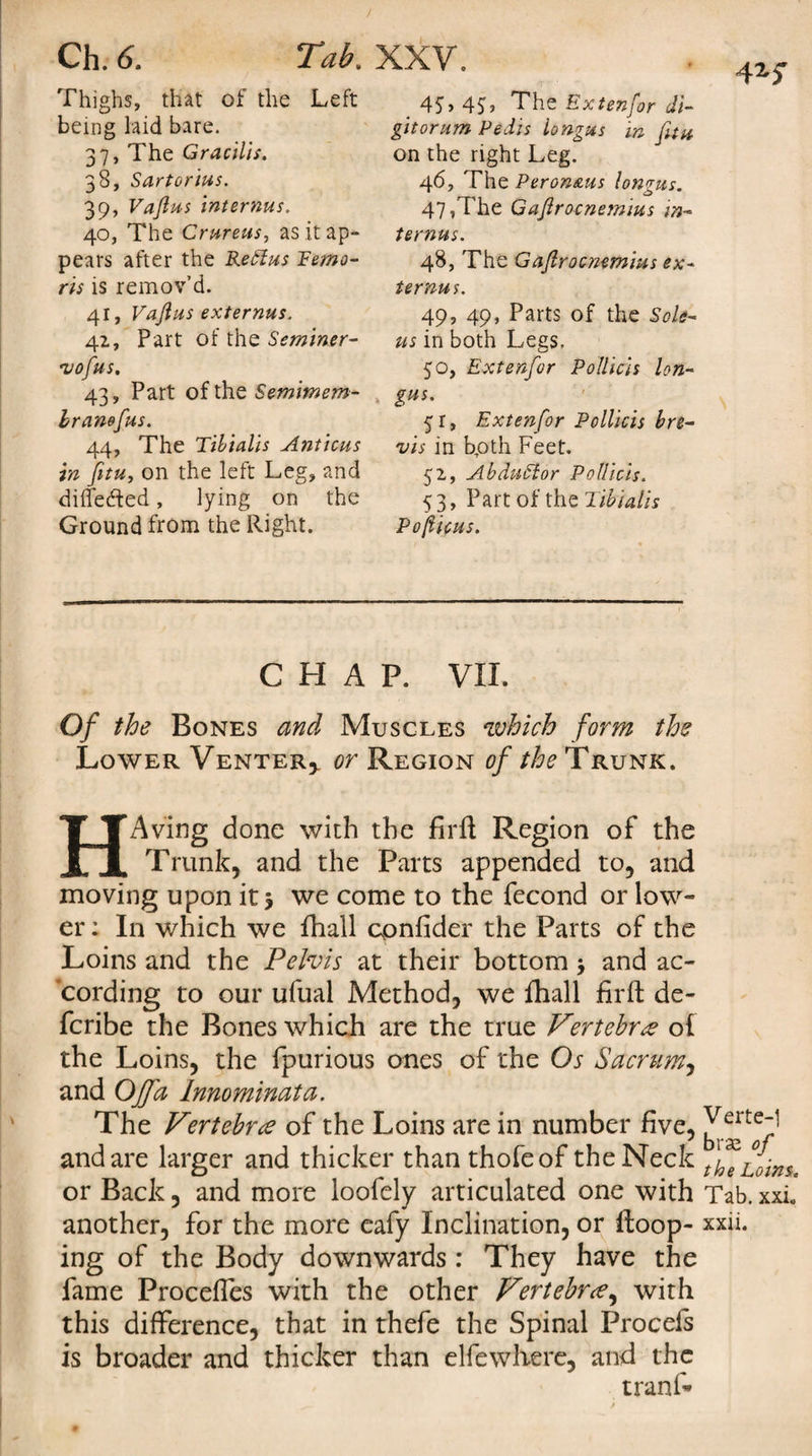 Ch. 6. Tab, Thighs, that of the Left being laid bare. 37, The Gracilis. 38, Sartorius. 39, Vajlus internus. 40, The Crureus, as it ap- pears after the ReElus Rema¬ ns is remov’d. 41, Vajlus externus. 42, Part of the Seminer- vofus. 43, Part of the Semimem- branefus. 44, The Tibialis Anticus in fitu, on the left Leg, and differed, lying on the Ground from the Right. XXV. 45, 45, The Extenfor di- git or urn Pedis Iongus in fitu on the right Leg. 46, The Peron&amp;us Iongus. 47, The Gafirocnemius in¬ ternus. 48, The Gafirocnemius ex¬ ternus. 49, 49, Parts of the Sole- us in both Legs. 50, Extenfor Pollicis Ion- 51, Extenfor Pollicis bre¬ vis in bpth Feet. 52, Abduffior Pollicis. 5 3, Part of the Tibialis Pofiicus. CHAP. VII. Of the Bones and Muscles which form the Lower Venter,, or Region of the Trunk. HAving done with the firft Region of the Trunk, and the Parts appended to, and moving upon it 5 we come to the fecond or low¬ er : In which we fhall confider the Parts of the Loins and the Pelvis at their bottom &gt; and ac¬ cording to our ufual Method, we fhall firft: de- fcribe the Bones which are the true Vertebra o£ the Loins, the fpurious ones of the Os Sacrum, and Off a Innominata. The Vertebrae of the Loins are in number five, and are larger and thicker than thofeof the Neck Loins. or Back, and more loofely articulated one with Tab. xxi. another, for the more eafy Inclination, or ftoop- xxii. ing of the Body downwards: They have the fame Proceftes with the other Vertebra, with this difference, that in thefe the Spinal Procefs is broader and thicker than elfewhere, and the tranf*