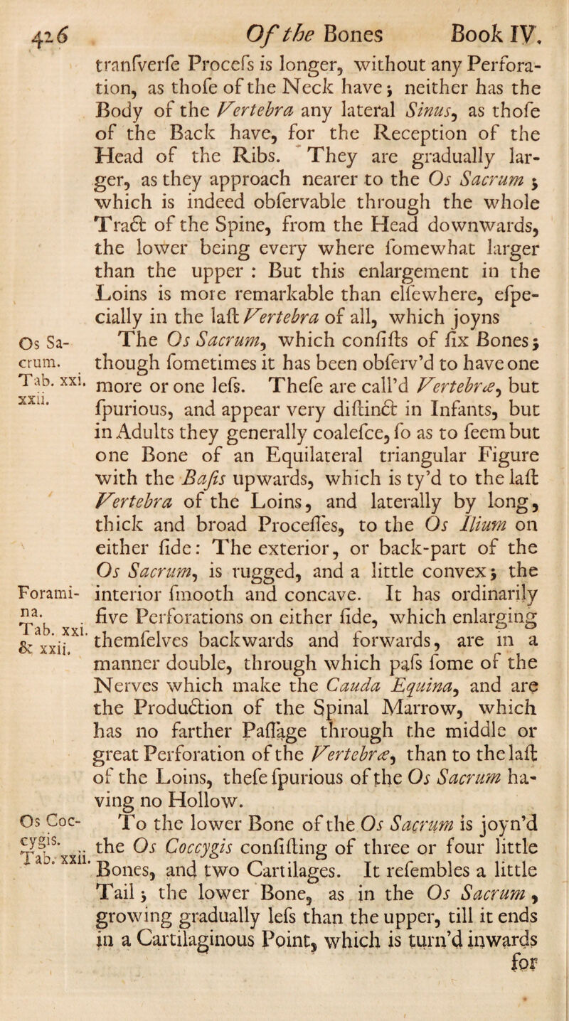 tranfverfe Procefs is longer, without any Perfora¬ tion, as thofe of the Neck have* neither has the Body of the Vertebra any lateral Sinus, as thofe of the Back have, for the Reception of the Head of the Ribs. They are gradually lar¬ ger, as they approach nearer to the Os Sacrum $ which is indeed obfervable through the whole TraCl of the Spine, from the Head downwards, the lower being every where fomewhat larger than the upper : But this enlargement in the Loins is more remarkable than elfewhere, efpe- cially in the lad Virtebra of all, which joyns Os Sa- The Qs Sacrum^ which confids of fix Bones •, crum. though fometimes it has been obferv’d to have one Tab. xxi. more or one ]ef§. Thefe are call’d Vertebrce, but fpurious, and appear very didinCl in Infants, but in Adults they generally coalefce,fo as to feembut one Bone of an Equilateral triangular Figure with the Bafis upwards, which is ty’d to the lad Vertebra of the Loins, and laterally by long, thick and broad Procefles, to the Os Ilium on either fide: The exterior, or back-part of the Os Sacrum, is rugged, and a little convex 5 the Forami- interior fmooth and concave. It has ordinarily . five Perforations on either fide, which enlarging Sz xxifX1 thanfelves backwards and forwards, are in a manner double, through which pafs lome of the Nerves which make the Cauda Equina, and are the Production of the Spinal Marrow, which has no farther Pafiage through the middle or great Perforation of the Vertebra, than to the lad of the Loins, thefe fpurious of the Os Sacrum ha¬ ving no Hollow. Os Coc- To the lower Bone of the Os Sacrum is joyn’d .. the Os Coccygis confiding of three or four little xxii. jgones^ ancj tWQ Cartilages. It refembles a little Tail * the lower Bone, as in the Os Sacrum, growing gradually lefs than the upper, till it ends in a Cartilaginous Point, which is turn’d inwards for