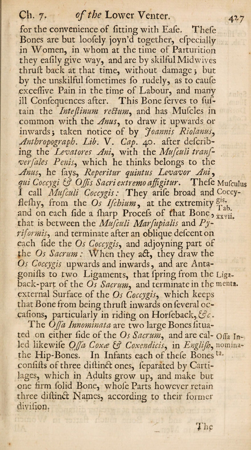 4Z7 for the convenience of fitting with Eafe. Thefe Bones are but loofely joyn’d together, efpecialiy in Women, in whom at the time of Parturition they eafily give way, and are by skilful Midwives thrall back at that time, without damage 3 but by the unskilful fometimes fo rudely, as to caufe excefiive Pain in the time of Labour, and many ill Confequences after. This Bone ferves to fuf- tain the Inteftinum retlum^ and has Mufcles in common with the Anus, to draw it upwards or inwards 3 taken notice of by Joannis Riolanus, Anthropograph. Lib. V. Cap. 40. after deferr¬ ing the Levatores Ani, with the Mufculi tranf- verfales Penis, which he thinks belongs to the Anus, he fays, Reperitur quintus Levavor Ani, qui Coccygi &amp; OJJis Sacri extremo affigitur. Thefe Mufculus I call Mufculi Coccygis: They arife broad and Coccy- flefhy, from the Os Ifchium, at the extremity *b and on each fide a lharp Procefs of fhat Bone, xxvi*o that is between the Mufculi Marfupialis and Py- riformis, and terminate after an oblique defeenton each fide the Os Coccygis, and adjoyning part of the Os Sacrum: When they a£l, they draw the Os Coccygis upwards and inwards, and are Anta- gonills to two Ligaments, that fpring from the Liga- back-part of the Os Sacrum, and terminate in thementa. external Surface of the Os Coccygis, which keeps that Bone from being thrall inwards on feveral oc¬ casions, particularly in riding on Horfeback, &amp;c. The Of a Innominata are two large Bones fitua- ted on either fide of the Os Sacrum, and are cal- ofia In- led like wife Offa, Coxte if Coxendicis, in Englijh, nomina- the Hip-Bones. In Infants each of thefe Bones ta° confills of three dillinfl ones, feparated by Carti¬ lages, which in Adults grow up, and make but one firm folid Bone, whole Parts however retain three dillinfr Names, according to their former divifion.