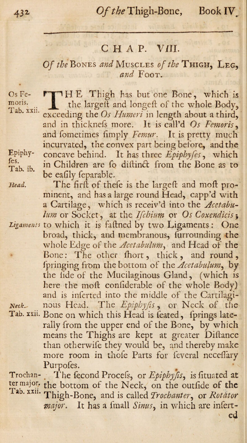43* Of the Thigh-Bone, Book IV C H A P. v/n. Of the Bones and Muscles of the Thigh, Leg, and Foot. Epiphy- fes. Tab. ib. Head. Os Fe- npH E Thigh has but one Bone, which is ^°r*s’ •• JL the largelt and longed of the whole Body, 1 ab. xxn. excec(jing t}ie qs Humeri in length about a third, and in thicknefs more. It is call’d Os Femoris, and fometimes limply Femur. It is pretty much incurvated, the convex part being before, and the concave behind. It has three Epiphyfes, which in Children are fo didindt from the Bone as to be ealily feparable. The fird of thefe is the larged and mod pro¬ minent, and has a large round Head, capp’d with a Cartilage, which is receiv’d into the Acetabu¬ lum or Socket, at the Ifchium or Os Coxendicis $ Ligaments to which it is fadned by two Ligaments: One broad, thick, and membranous, furrounding the whole Edge of the Acetabulum, and Head of the Bone: The other fhort, thick, and round, fpringing from the bottom of the Acetabulum, by the lide of the Mucilaginous Gland, (which is here the mod conllderable of the whole Body) and is inferted into the middle of the Cartilagi¬ nous Head. The Epiphyfis, or Neck of the Bone on which this Head is feated, fprings late¬ rally from the upper end of the Bone, by which means the Thighs are kept at greater Didance than otherwife they would be, and thereby make more room in thofe Parts for feveral neceflary Purpofes. The fecond Procefs, or Epiphyfis, is fituated at the bottom of the Neck, on the outfide of the Thigh-Bone, and is called Trochanter^ or Rotdtor major. It has a fmall Sinus, in which are infert- ' ed Heck.- Tab. xxii. Trochan¬ ter major. Tab. xxii.