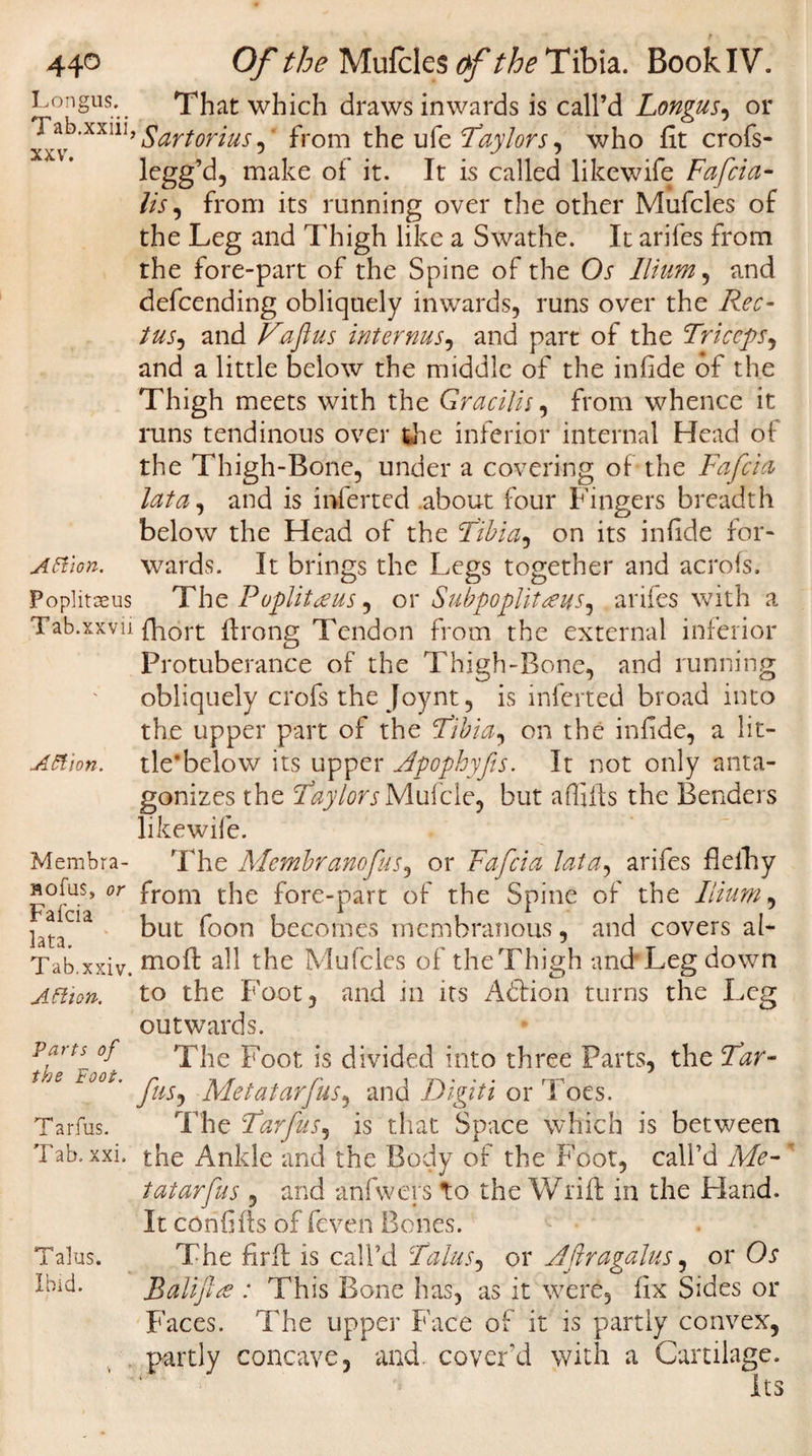Longus. That which draws inwards is call’d Longus, or Tab.xxii^ygartorius from the ufe Taylors, who fit crofs- legg’d, make of it. It is called likewife Fafcia- lis, from its running over the other Mufcles of the Leg and Thigh like a Swathe. It arifes from the fore-part of the Spine of the Os Ilium, and defcending obliquely inwards, runs over the Rec- tus, and Vaftus internus, and part of the Triceps, and a little below the middle of the infide of the Thigh meets with the Gracilis, from whence it runs tendinous over the inferior internal Head of the Thigh-Bone, under a covering of the Fafcia lata, and is inferted .about four Fingers breadth below the Head of the Tibia, on its infide for- Action. wards. It brings the Legs together and acrofs, Poplitxus The Poplitdcus, or Subpoplitaus^ arifes with a Tab.xxvn fhort Ifrong Tendon from the external inferior Protuberance of the Thigh-Bone, and running obliquely crofs the Joynt, is inferted broad into the upper part of the Tibia^ on the infide, a lit- Action, tle’below its upper Jpopbyfis. It not only anta¬ gonizes the TaylorsMufcle, but a (lifts the Benders likewife. Membra- The Membranoftus, or Fafcia lata, arifes flefhy Holds, or from the fore-part of the Spine of the Ilium, hnCla but foon becomes membranous, and covers al- Tab.xxiv. m°d ^11 the Mufcles of theThigh and Leg down Action, to the Foot, and in its Adfion turns the Leg outwards. Partl °f The Foot is divided into three Parts, the Tar- * * tJ0C’ fus, Metatarfus, and Digiti or Toes. Tarfus. The Tarfus, is that Space which is between Tab. xxi. the Ankle and the Body of the Foot, call’d Me¬ tatarfus , and anfwers to the Wrifl in the Hand. It confiffs of feveh Bones. The firfl is call’d Talus, or Aftragalus, or Os Bali ft re : This Bone has, as it were, fix Sides or Faces. The upper Face of it is partly convex, partly concave, and. cover'd with a Cartilage. Its Talus. Ibid.
