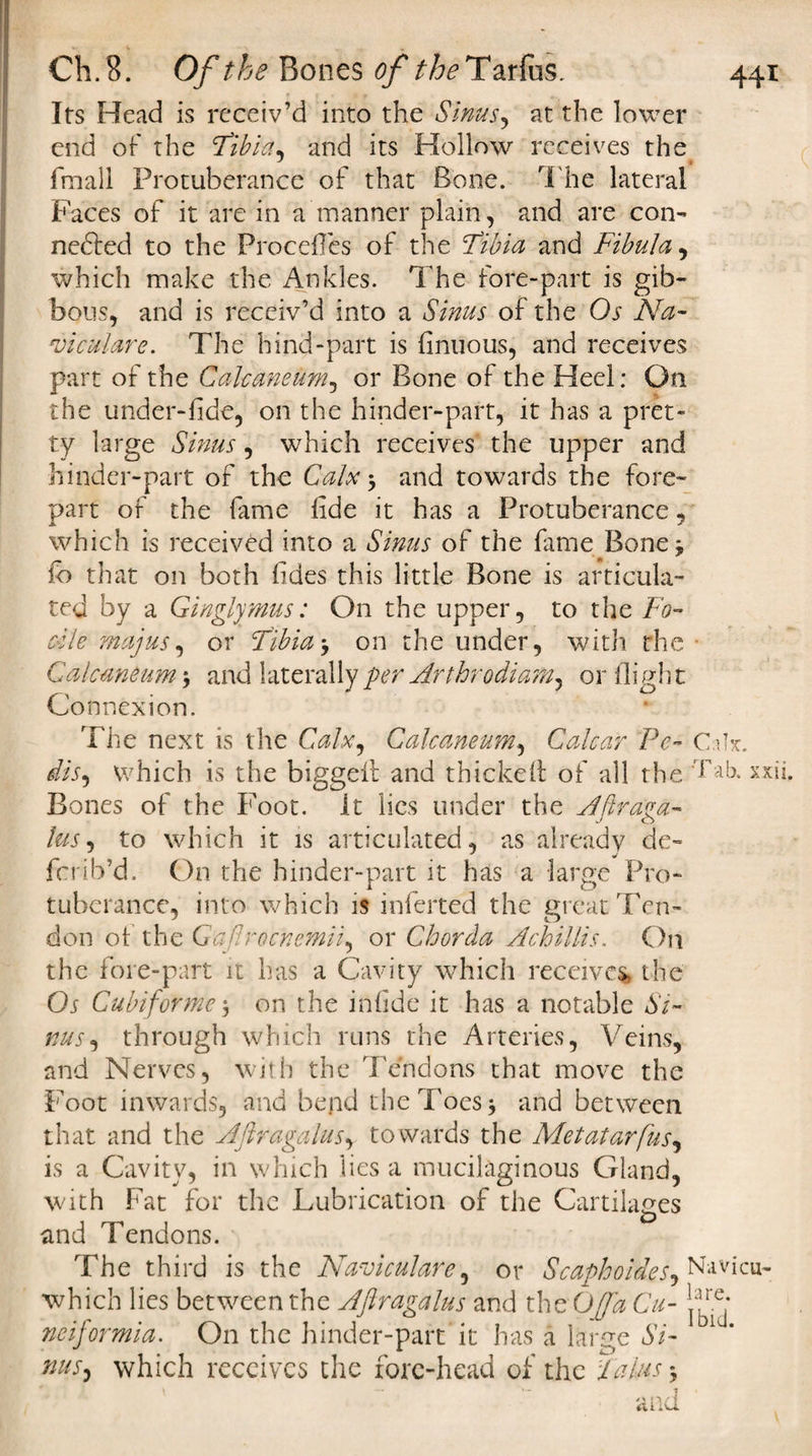 Its Head is receiv’d into the Sinus, at the lower end of the 'Tibia, and its Hollow receives the fmall Protuberance of that Bone. The lateral Faces of it are in a manner plain, and are con- nedted to the Procefles of the Tibia and Fibula, which make the Ankles. The fore-part is gib¬ bous, and is receiv’d into a Sinus of the Os Na- cbiculare. The hind-part is finuous, and receives part of the Calcaneum, or Bone of the Heel: On the under-fide, on the hinder-part, it has a pret¬ ty large Sinus, which receives the upper and hinder-part of the Calx \ and towards the fore¬ part of the fame lide it has a Protuberance, which is received into a Sinus of the fame Bone j fb that on both fides this little Bone is articula¬ ted by a Ginglymus: On the upper, to the Fo¬ otle majus, or Tibiaon the under, with the Calcaneum ', and latera Connexion. The next is the Calx, Calcaneum, Calcar Pc- C.ilx. dis, which is the biggell and thicket of all the Tab. xxii. Bones of the Foot. It lies under the Aftraga- lus, to which it is articulated, as already de~ fcrib’d. On the hinder-part it has a large Pro¬ tuberance, into which is inferted the great Ten¬ don of the Gaflrocnemii, or Chorda Achillis. On the fore-part it has a Cavity which receive* the Os Cubiforme 3 on the infide it has a notable Si¬ nus, through which runs the Arteries, Veins, and Nerves, with the Tendons that move the Foot inwards, and bend the Toes and between that and the A ft ragain s, towards the Metatar (us, is a Cavity, in which lies a mucilaginous Gland, with Fat for the Lubrication of the Cartilages and Tendons. The third is the Naviculare, or Scaphoides, Navicu- which lies between the Aftragalus and the Off a Cu- ^ nciformia. On the hinder-part it has a large Si- D1 * nus, which receives the fore-head of the Talus * and lly per Art hr odi am, or flight
