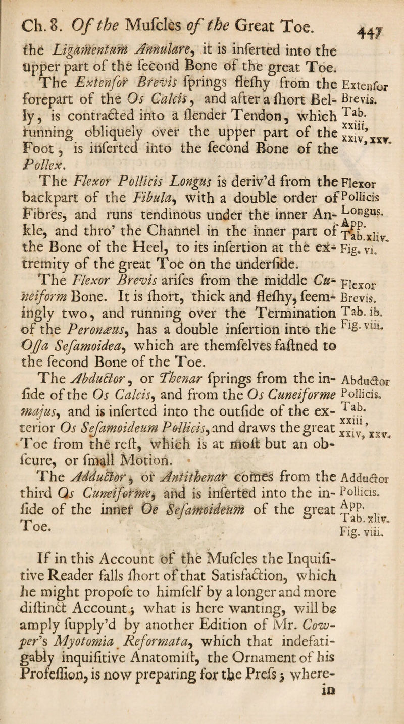 the Ligamentum Annulare, it is inferred into the tipper part of the fecond Bone of the great Toe. The jExienfor Brevis fprings flefhy from the Extenfor forepart of the Os Calcis, and after a fhort Bel- Brevis, ly, is contracted into a flender Tendon, which rab* J * J V M-1 | j tunning obliqueiy over the upper part of thexxlv’XXT Foot, is inferted into the fecond Bone of the Pollex. The Flexor Pollicis Longus is deriv’d from the Flexor backpart of the Fibula, with a double order ofPollicis Fibres, and runs tendinous under the inner An- ^OI3g»s. kle, and thro’ the Channel in the inner part ofTab xliy the Bone of the Heel, to its infertion at the ex- Fig, vi, tremity of the great Toe on the underfide. The Flexor Brevis arifes from the middle Cu- pjexor neiform Bone. It is fhort, thick and flefhy, feem- Brevis, ingly two, and running over the Termination Tab. ib„ of the Peroneeus, has a double infertion into the viiL Of a Sefamoidea, which are themfelves faftned to the fecond Bone of the Toe. The AbduEtor, or Fhenar fprings from the in- Abdudor fide of the Os Calcis, and from the Os Cuneiforme Pollicis, majus, and is inferted into the outfide of the ex- Tab* terior Os Sefamoideum Pollicis^ and draws the great xxiv ’xx v Toe from the reft, which is at riioft but an ob- fcure, or fmall Motion. The AdduEtor, or Antithenar comes from the Addudor third Qr Cuneiforme, and is inferted into the in- Pollicis. J App. Tab. xliv. Fig. viiu fide of the inner Oe Sefamoideum of the great Toe. If in this Account of the Mufcles the Inquifi- tive Reader falls Ihort of that Satisfaction, which he might propofe to himfelf by a longer and more diftinCt Account.* what is here wanting, will be amply lupply’d by another Edition of Mr. Cow- peps Myotomia Reformat a, which that indefati- gably inquifitive Anatomift, the Ornament of his Profeffion, is now preparing for the Prefs * where¬ in