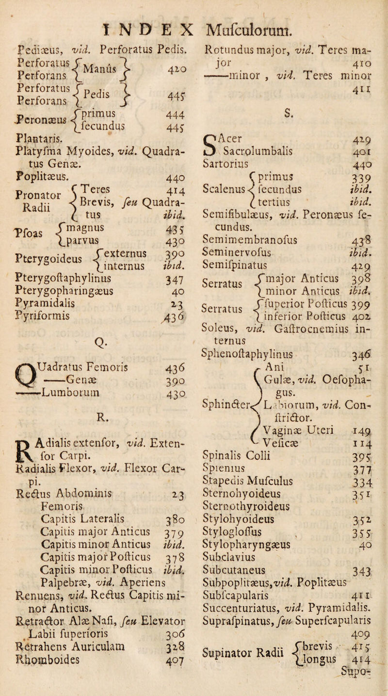 Pediaeus, vid. Perforatus Pedis. Rotundus major, vid. Teres ma- Perforatus Perforans &lt;^Manus ^ 420 jor 410 ——minor , vid. Teres minor Perforatus Perforans «j~Pedis 445 411 JPcronaeus ■ Fprimus (Jecundus 444 445 S. Plantaris. QAcer 429 Platyfma Myoides, vid. Quadra- O Sacrolumbalis 401 tus Genae. Sartorius 440 440 414 Poplitaeus. Pronator 5jFereS r r\ a~~r Radii i Brevis’ Quad/a; / tllS ibid. 435 43° Pterygoideus /externus 39° yo ^mternus Pterygoftaphylinus Pterygopharingaeus Pyramidalis Pynformis Tfoas |™Snus (_parvus ibid. 347 40 23 .43 &lt;5 0 Q- Uadratus Femoris -Genae Lumborum R. 436 39o 43° RAdialis extenfor, vid. Exten¬ for Carpi. Radialis Flexor, vid. Flexor Can- pi. 23 Redus Abdominis Femoris Capitis Lateralis 380 Capitis major Anticus 379 Capitis minor Anticus ibid. Capitis major Pofticus 378 Capitis minor Pofticus ibid. Palpebrae, vid. Aperiens Renuens, vid. Redus Capitis mi¬ nor Anticus. Retrador AlaeNafi, feu Elevator Labii fuperioris 306 Retrahens Auriculam 328 Rhomboides 407 C primus 339 Scalenus &lt;Mecundus ibid. £ tertius ibid. Semifibulaeus, vid. Peronaeus fe- cundus. Semimembranofus 438 Seminervofus ibid. Semifpinatus 429 Serratus J™jor Anticus 398 |_mmor Anticus ibid. Serratus JfuPerior Pofticus 399 ^inferior Pofticus 401 Soleus, vid. Gaftrocnemius in- ternus Sphenoftaphylinus 346 Ani 51 Gulae,Oefopha- ) Sus- Sphinder^L Siorum, vid. Con- ftridor. Vaginae Uteri 149 Veiicae 114 Spinalis Colli 395: Spienius 377 Stapedis Mufculus 334 Sternohyoideus 351 Sternothyroideus Stylohyoideus 352 Stylogloflus , 355 Stylopharyngaeus 40 Subclavius Subcutaneus 343 SubpoplitaeuSjX'/d. Poplitseus Subfcapularis 411 Succenturiatus, vid. Pyramidalis. Suprafpinatus, feu Superfcapularis 409 Supinator Radii Sup 0-