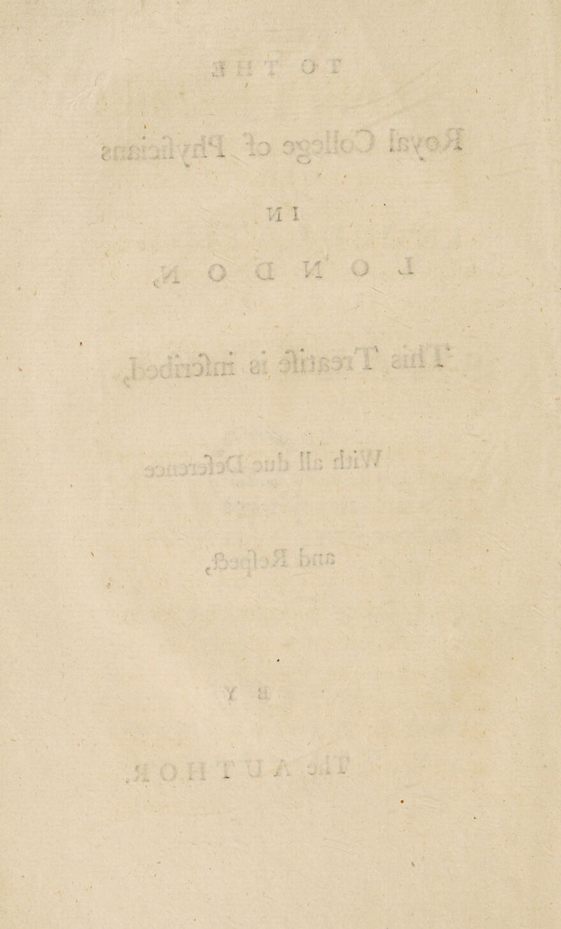 \ f t- \ % 4 C''.- 'Y  ■' . ii^'. V_/ ./■ . &gt;■■1 1 / n V ' V..' •''- / . \ \ \ X ' V I t \ \ .