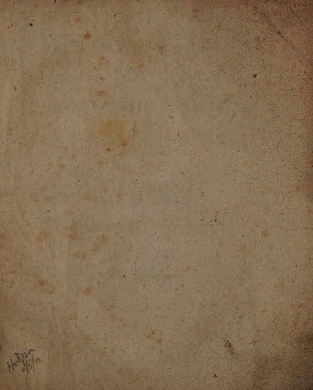 digitised image 3