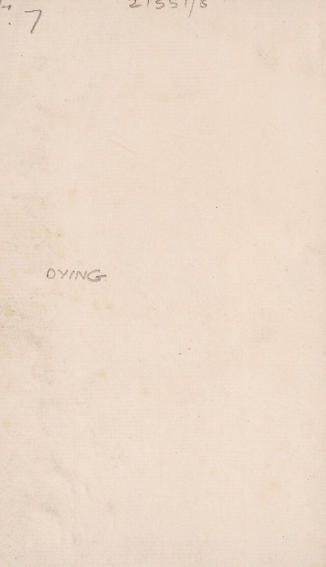 digitised image 2