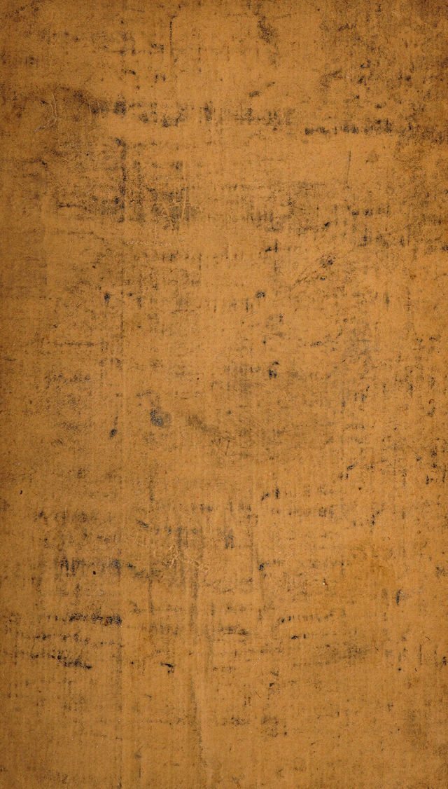 No text description is available for this image