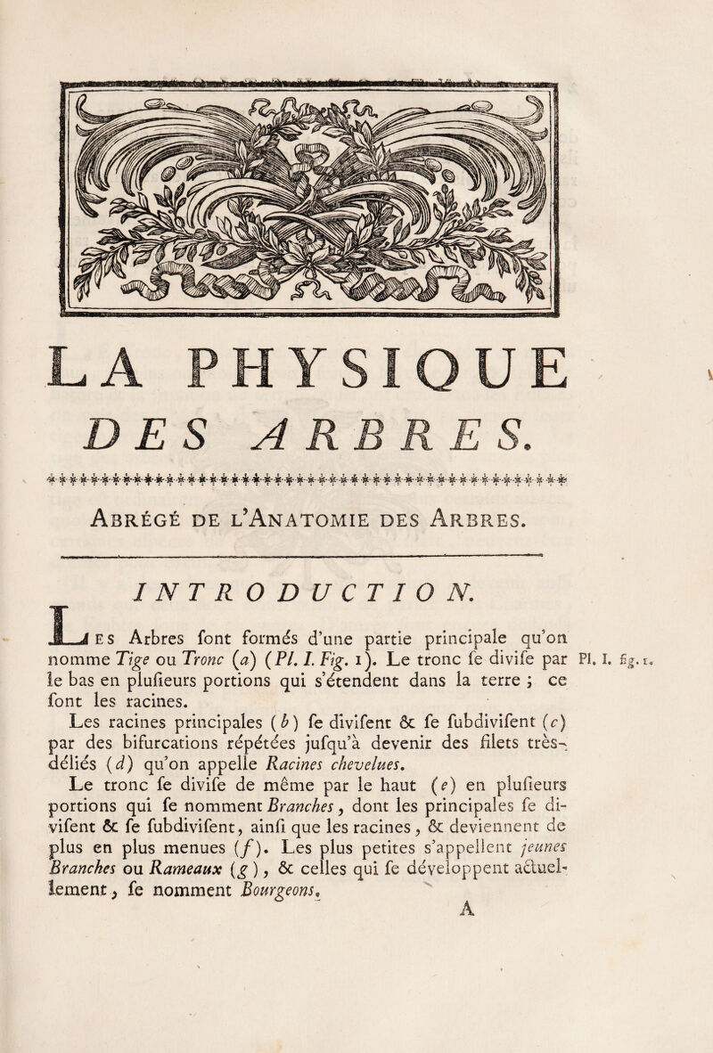 DES ARBRES 4 4444444444444444444444444444 4-4' 4 444444 4 4444444 44 Abrégé de l’Anatomie des Arbres. I N T R ODUCTIO N. L es Arbres font formés d’une partie principale qu’on nomme Tige ou Tronc (a) (PI. I. Fig. i). Le tronc fe divife par PI. ï» ûg.u le bas en plufieurs portions qui s’étendent dans la terre ; ce font les racines. Les racines principales (b) fe divifent ôc fe fubdivifent (c) par des bifurcations répétées jufqu’à devenir des filets très- déliés (d) qu’on appelle Racines chevelues. Le tronc fe divife de même par le haut (e) en plufieurs portions qui fe nomment Branches, dont les principales fe di¬ vifent 6c fe fubdivifent, ainfi que les racines, & deviennent de plus en plus menues (/). Les plus petites s’appellent jeunes Branches ou Rameaux (g ) > ôc celles qui fe développent actuel¬ lement fe nomment Bourgeons.