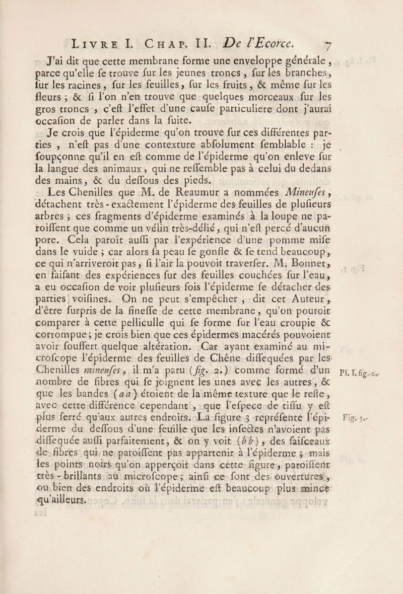 J’ai dit que cette membrane forme une enveloppe générale , parce qu’elle fe trouve furies jeunes troncs* furies branches * fur les racines* fur les feuilles* fur les fruits * & même fur les fleurs ; & fi Ton n?en trouve que quelques morceaux fur les gros troncs * c’eft l’effet d’une caufe particulière dont j’aurai qccafion de parler dans la fuite» Je crois que l’épiderme qu’on trouve fur ces différentes par» ties * n’eft pas d’une contexture abfolument femblable : je foupçonne qu’il en eft comme de l’épiderme qu’on enleve fur la langue des animaux , qui ne reffemble pas à celui du dedans des mains* & du deffous des pieds» Les Chenilles que M. de Reaumur a nommées Mineufes * détachent très - exactement l’épiderme des feuilles de plufieurs arbres ; ces fragments d’épiderme examinés à la loupe ne pa- roiffent que comme un vélin très-délié* qui n’eft percé d’aucun pore» Cela paroît aufli par l’expérience d’une pomme rnife dans le vuide ; car alors fà peau fe gonfle & fe tend beaucoup* ce qui n arriveroit pas, fi l’air la pouvoir traverfer. M. Bonnet* en faifant des expériences fur des feuilles couchées fur l’eau* a eu occafion de voir plufieurs fois l’épiderme fe détacher des parties voifines. On ne peut s’empêcher * dit cet Auteur * d’être furpris de la fineffe de cette membrane * qu’on pouroie comparer à cette pelliculle qui fe forme fur l’eau croupie & corrompue; je crois bien que ces épidermes macérés pouvoient avoir fouffert quelque altération. Car ayant examiné au mi- crofcope l’épiderme des feuilles de Chêne diffequées par les* Chenilles mineufes * il m’a paru (fig* 2.) comme formé d’un nombre de fibres qui fe joignent les unes avec les autres* & que les bandes (aa) étoient de la même texture que le refie* avec cette différence cependant * que l’efpece de tiffu y eft plus ferré qu’aux autres endroits. La figure 3 repréfente l’épi¬ derme du deffous d’une feuille que les infeâes n’avoient pas diffequée auffi parfaitement* & on y voit (b b-) * des faifceaux de fibres qui ne paroiffent pas appartenir à l’épiderme ; mais les points noirs qu’on apperçoit dans cette figure * paroiffent très - brillants au microfcope; ainfii ce font des ouvertures * ou bien des endroits où l’épiderme eft beaucoup plus mince qu’ailleursv ■ f : u ;