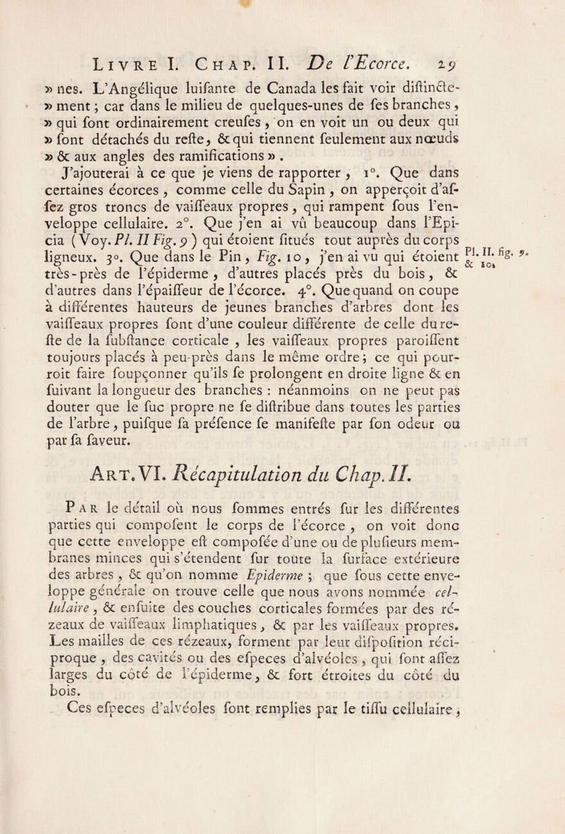 » lies. L’Angélique luifante de Canada les fait voir diftinête- » ment ; car dans le milieu de quelques-unes de fes branches * » qui font ordinairement creufes , on en voit un ou deux qui » font détachés du refte* ôtqui tiennent feulement aux nœuds » & aux angles des ramifications » . J’ajouterai à ce que je viens de rapporter > i°. Que dans certaines écorces ^ comme celle du Sapin , on apperçoit d’af- fez gros troncs de vaiffeaux propres * qui rampent fous l’en¬ veloppe cellulaire. 20. Que j’en ai vu beaucoup dans l’Epi- cia ( Voy. Pi. Il Fig. p ) qui étoient fitués tout auprès du corps ligneux. 30. Que dans le Pin , Fig. 10 y j’en ai vu qui étoient très-près de l’épiderme* d’autres placés près du bois, & d’autres dans l’épaiffeur de l’écorce. 40. Que quand on coupe à différentes hauteurs de jeunes branches d’arbres dont les vaiffeaux propres font d’une couleur différente de celle dure- fte de la fubftance corticale , les vaiffeaux propres paroiffent toujours placés à peu-près dans le même ordre; ce qui pour- roit faire foupçonner qu’ils fe prolongent en droite ligne & en fuivant la longueur des branches : néanmoins on ne peut pas douter que le fuc propre ne fe diftribue dans toutes les parties de l’arbre > puifque fa préfence fe manifefte par fon odeur ou par fa faveur. Art. VL Récapitulation du Chap, IL Par le détail où nous fommes entrés fur les différentes parties qui compofent le corps de l’écorce ^ on voit donc que cette enveloppe eft compofée d’une ou deplufieurs mem¬ branes minces qui s’étendent fur toute la furface extérieure des arbres ^ & qu’011 nomme Epiderme ; que fous cette enve¬ loppe générale on trouve celle que nous avons nommée cel¬ lulaire , & eniuite des couches corticales formées par des ré- zeaux de vaiffeaux limphatiques, & par les vaiffeaux propres. Les mailles de ces rézeaux, forment par leur difpofition réci¬ proque , des cavités ou des efpeces d’alvéoles , qui font allez larges du coté de l’épiderme ^ & fort étroites du côté du bois. Ces efpeces d’alvéoles font remplies par le tifîù cellulaire *