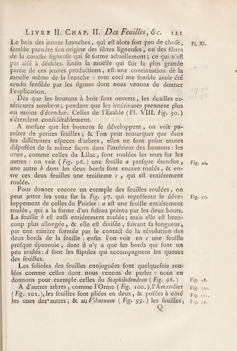 Le bois des jeunes branches* qui eft alors fort peu de chofe* fembie prendre fon origine des fibres ligneufes* ou des fibres de la couche ligneufe qui fe forme actuellement ; ce qui n'eft pas aifé à décider» Enfin la moelle qui fait la plus grande partie de ces jeunes produirions, eft.une continuation de la moelle même de la branche : tout ceci me fembie avoir été rendu fenfiole par les figures dont nous venons de donner l’explication. Dès que les boutons à bois font ouverts * les écailles ex¬ térieures tombent ; pendant que Ses intérieures prennent plus ou moins d’étendue. Celles de l’Erable (PI. VIII. Fig. 30.) s’étendent confidérablement. A mefure que les boutons fe développent* 011 voit pa- roître de petites feuilles ; & l’on peut remarquer que dans les différentes efpeces d’arbres , elles ne font point toutes -difpofées de la même façon dans l’intérieur des boutons : les unes comme celles du Lilac* font roulées les unes fur les autres : on voit ( Fig. 96.) une feuille a prefque étendue * une autre b dont les deux bords font encore roulés , & en¬ tre ces deux feuilles une troifieme c * qui eft entièrement roulée. Pour donner encore un exemple des feuilles roulées * on peut jetter les yeux fur la Fig. 97. qui repréfente le déve¬ loppement de celles du Poirier : a eft une feuille entièrement roulée * qui a la forme d’un fufeau pointu par les deux bouts. La feuille b eft auffi entièrement roulée ; mais elle eft beau¬ coup plus allongée* & elle eft divifée j, fuivant fa longueur* par une rainûre formée par le contaêt de la révolution des deux bords de la feuille : enfin l’on voit en c une feuille prefque épanouie * dont il n’y a que les bords qui font un peu roulés : à font les ftipules qui accompagnent les queues des feuilles. Les folioles des feuilles conjuguées font quelquefois rou¬ lées comme celles dont nous venons de parler : nous en donnons pour exemple celles du Staphilodendron ( Fig. 98.) A d’autres arbres* comme l’Orme ( Fig. 100. ), l’Amandier ( Fig. ioi-.), les feuilles font pliées en deux* & pofées à côté les unes des*autres; ôc auVibmmm ( Fig, 99.) les feuilles* ' ' .’ Q PL Xi. » <5 Fig. 96* Fig. 97* Fig. Fig, 100. Fig. 1o t. Fig. >9.