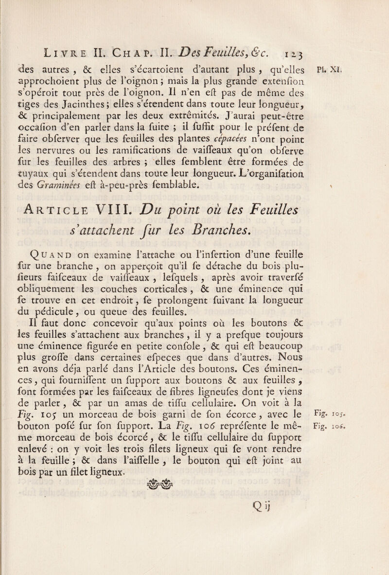 des autres , & elles s’écartoient d’autant plus y qu’elles Pi. XL approchoient plus de l’oignon ; mais la plus grande extenfion s’opéroit tout près de l’oignon. 11 n’en eft pas de même des tiges des Jacinthes; elles s’étendent dans toute leur longueur^ & principalement par les deux extrémités. J’aurai peut-être occafion d’en parler dans la fuite ; il fuffît pour le préfent de faire obferver que les feuilles des plantes cépacées n’ont point les nervures ou les ramifications de vaifleaux qu’on obferve fur les feuilles des arbres ; elles femblent être formées de tuyaux qui s’étendent dans toute leur longueur. L’organifatioa des Graminées eft à-peu-près femblable. * Article VIII. Du point où les Feuilles s'attachent fur les Branches. Quand on examine l’attache ou Finfertion d’une feuille fur une branche , on apperçoit qu’il fe détache du bois plu- fieurs faifceaux de vaiffeaux 5 lefquels , après avoir traverfé obliquement les couches corticales y & une éminence qui fe trouve en cet endroit 3 fe prolongent fuivant la longueur du pédicule, ou queue des feuilles. Il faut donc concevoir qu’aux points où les boutons & les feuilles s’attachent aux branches , il y a prefque toujours une éminence figurée en petite confole y & qui eft beaucoup plus groffe dans certaines efpeces que dans d’autres. Nous en avons déjà parlé dans l’Article des boutons. Ces éminen¬ ces y qui fourniffent un fupport aux boutons & aux feuilles 9 font formées par les faifceaux de fibres ligneufes dont je viens de parler 9 & par un amas de tiffu cellulaire. On voit à la Fig. loj un morceau de bois garni de fon écorce > avec le Fj’g« io5* bouton pofé fur fon fupport. La Fig. 105 repréfente le mê- Fig. io*f me morceau de bois écorcé, & le tiffu cellulaire du fupport enlevé : on y voit les trois filets ligneux qui fe vont rendre à la feuille ; & dans l’aiffelle 9 le bouton qui eft joint au bois par un filet ligneux» Q îj