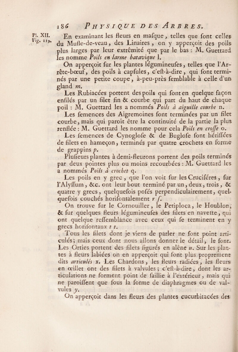 Fig. il9. 186 Physique des Arbres. En examinant les fleurs en mafque, telles que font celles du Mufle-de-veau, des Linaires , on y apperçoit des poils plus larges par leur extrémité que par le bas : M. Guettard les nomme Poils en larme batavique 1. On apperçoit fur les plantes légumineufes , telles que l’Ar¬ rête-bœuf, des poils à capfules, c’eft-à-dire , qui font termi¬ nés par une petite coupe, à-peu-près femblable à celle d’un gland m. Les Rubiacées portent des poils qui font en quelque façon enfilés par un filet fin & courbe qui part du haut de chaque poil : M. Guettard les a nommés Poils à aiguille courbe n. Les femences des Aigremoines font terminées par un filet courbe, mais qui paroît être la continuité de la partie la plus renflée : M. Guettard les nomme pour cela Poils en crojfe o. Les femences de Cynoglofe & de Buglofe font hérifiees de filets en hameçon, terminés par quatre crochets en forme de grappins /?. Plufieurs plantes à demi-fleurons portent des poils terminés par deux pointes plus ou moins recourbées : M. Guettard les a nommés Poils à crochet q. Les poils en y grec , que l’on voit fur les Crucifères , fur î’Alyflum, &c. ont leur bout terminé par un, deux, trois , ôc quatre y grecs, quelquefois pofés perpendiculairement, quel¬ quefois couchés horifontalement r f. On trouve fur le Cornouiller, le Periploca, le Houblon, & fur quelques fleurs légumineufes des filets en navette, qui ont quelque reffemblance avec ceux qui fe terminent en y grecs horifontaux t t. Tous les filets dont je viens de parler ne font point arti¬ culés; mais ceux dont nous allons donner le détail, le font. Les Orties portent des filets figurés en alêne u. Sur les plan¬ tes à fleurs labiées on en apperçoit qui font plus proprement dits articulés x. Les Chardons , les fleurs radiées y les fleurs en œillet ont des filets à valvules; c’efl-à-dire, dont les ar¬ ticulations ne forment point de faillie à l’extérieur, mais qui. ne paroiffent que fous la forme de diaphragmes ou de val¬ vules y. On apperçoit dans les fleurs des plantes cucurbitacées des